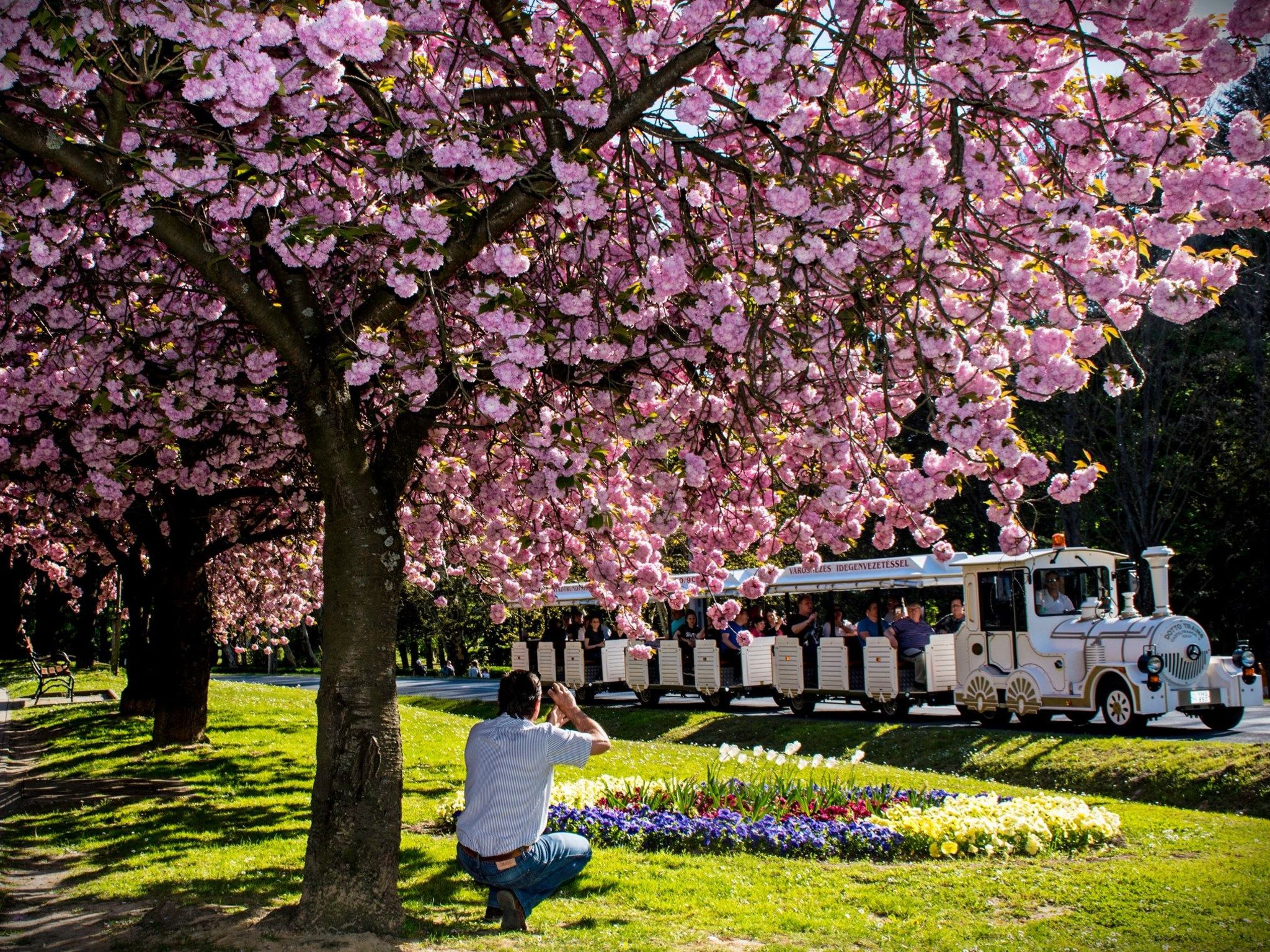 Schöne Ferienwohnung in Zalakaros-Binnen