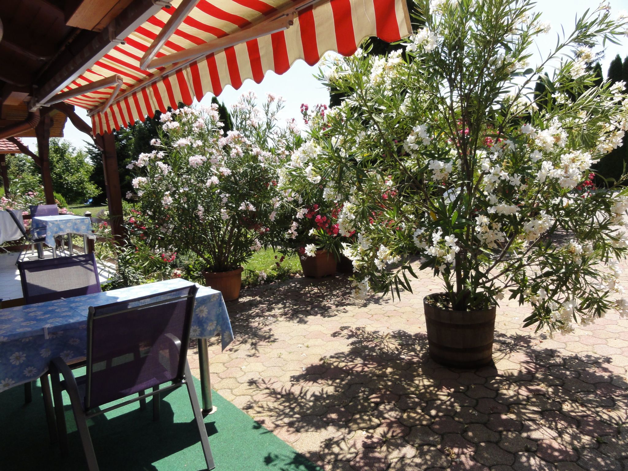 Gemütliche Ferienwohnung für 3 Personen-Binnen