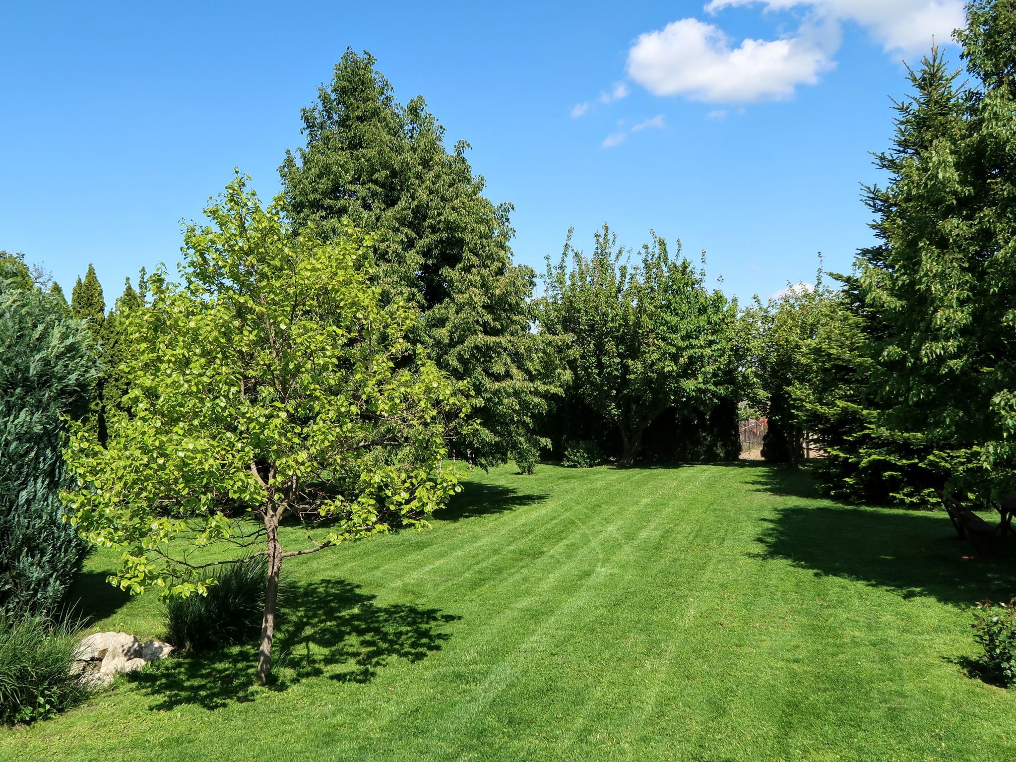 Stimmungsvolle Ferienwohnung mit großem Garten-Binnen