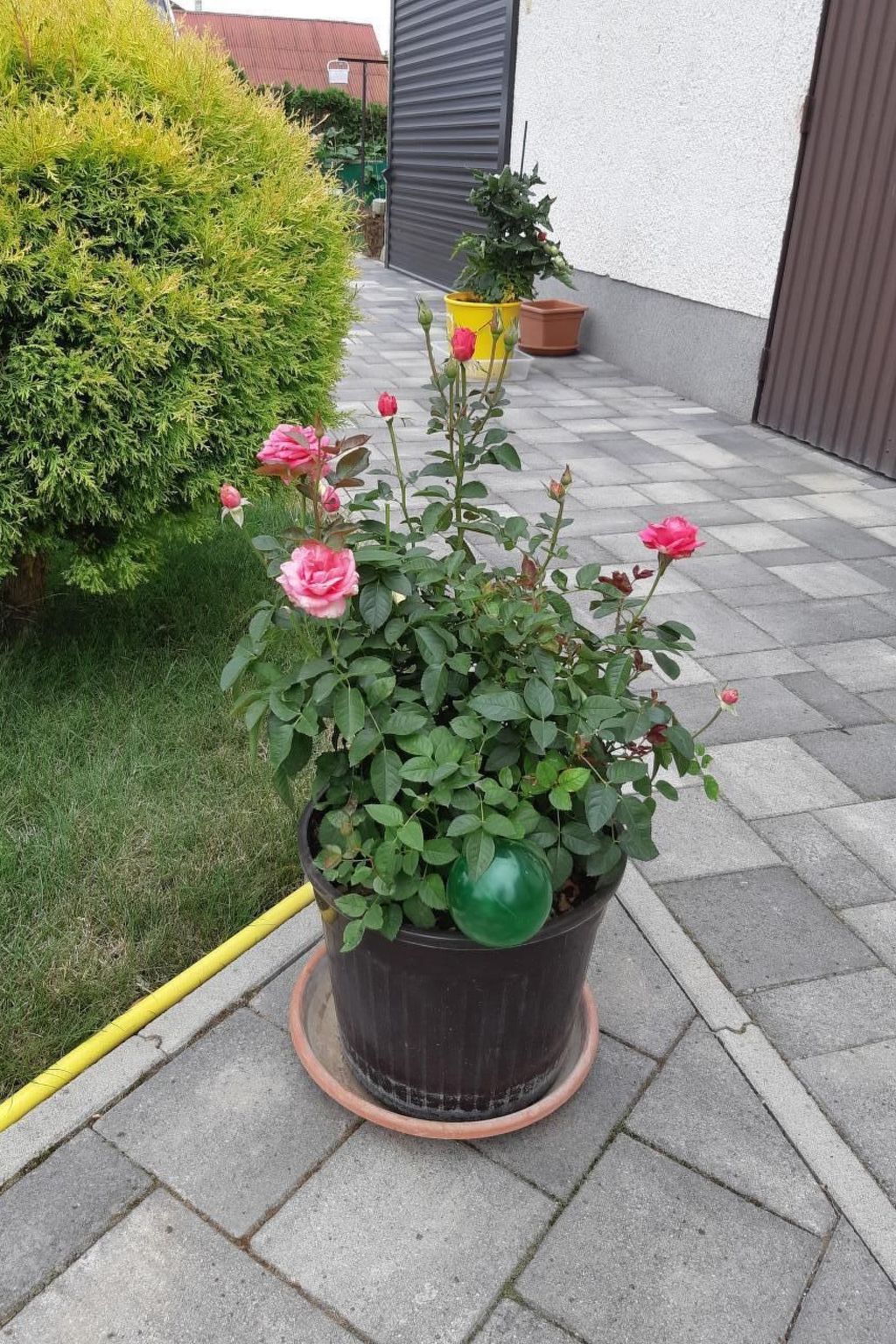 In Bük im Parterre mit Garten-Binnen