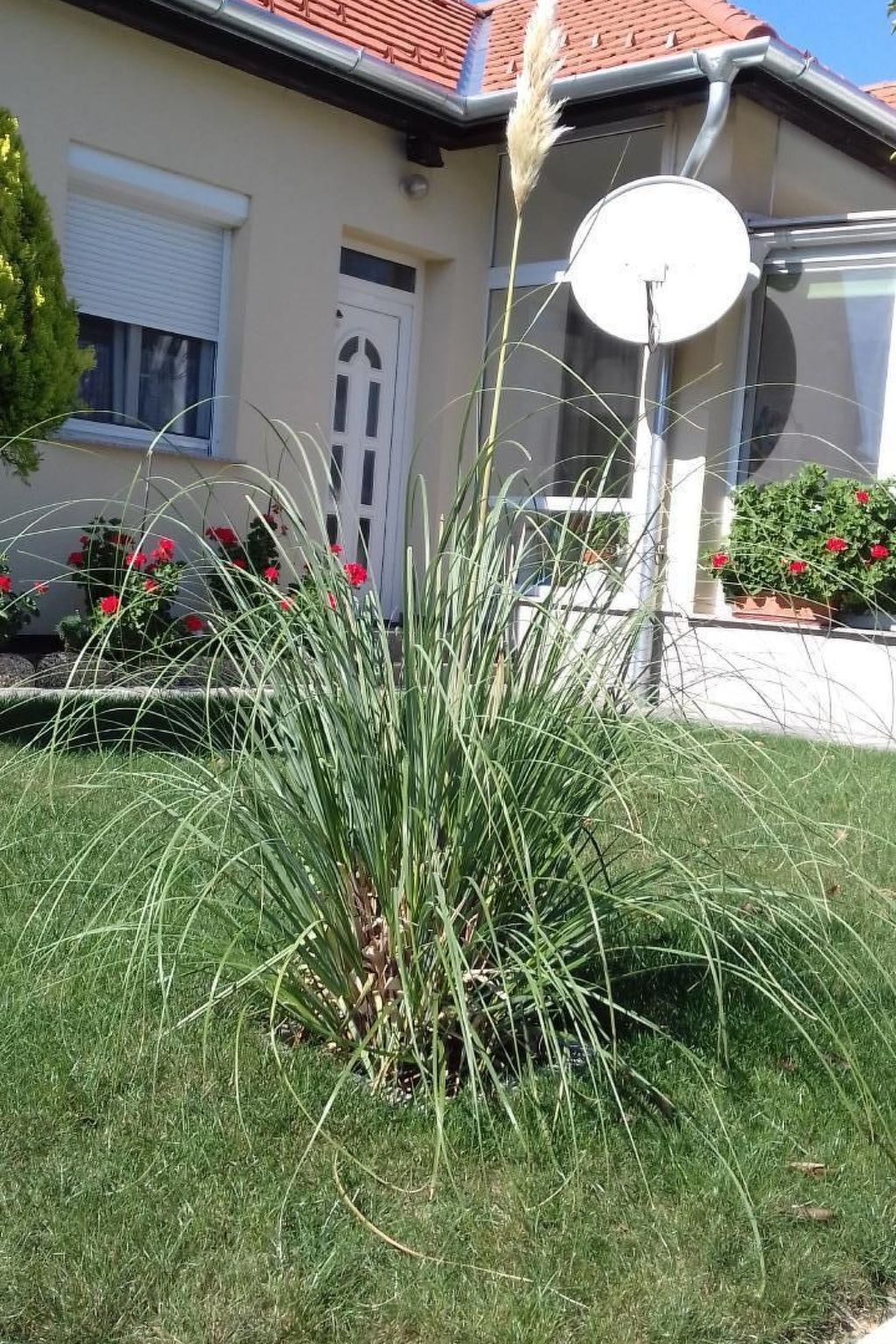 In Bük im Parterre mit Garten-Binnen