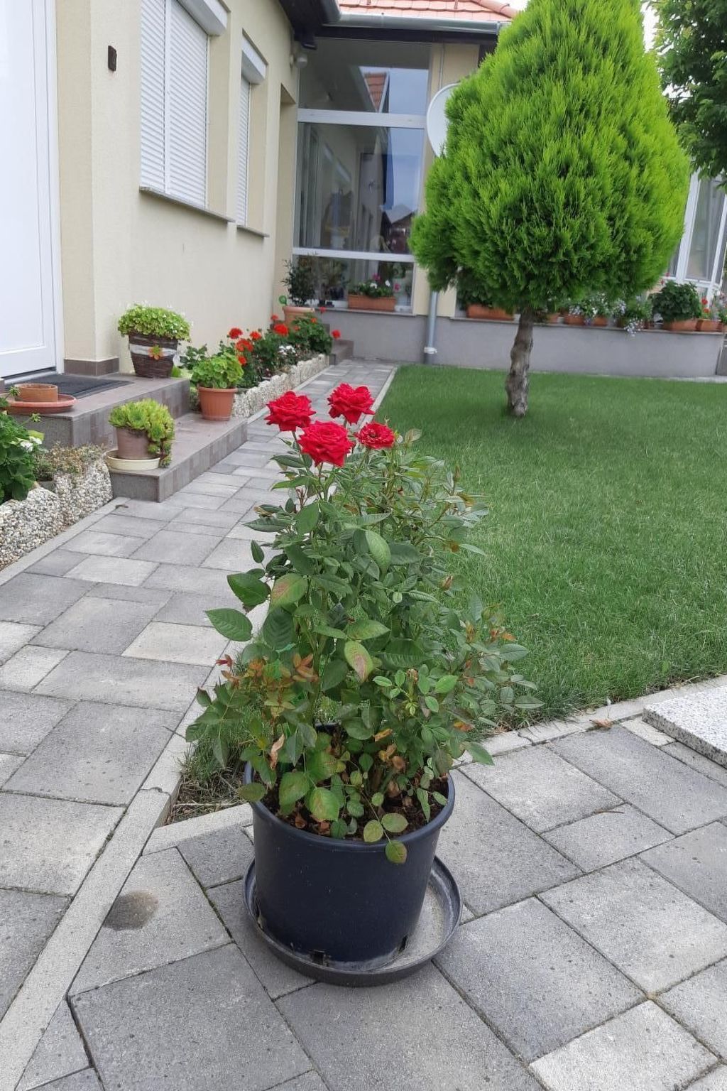 In Bük im Parterre mit Garten-Binnen