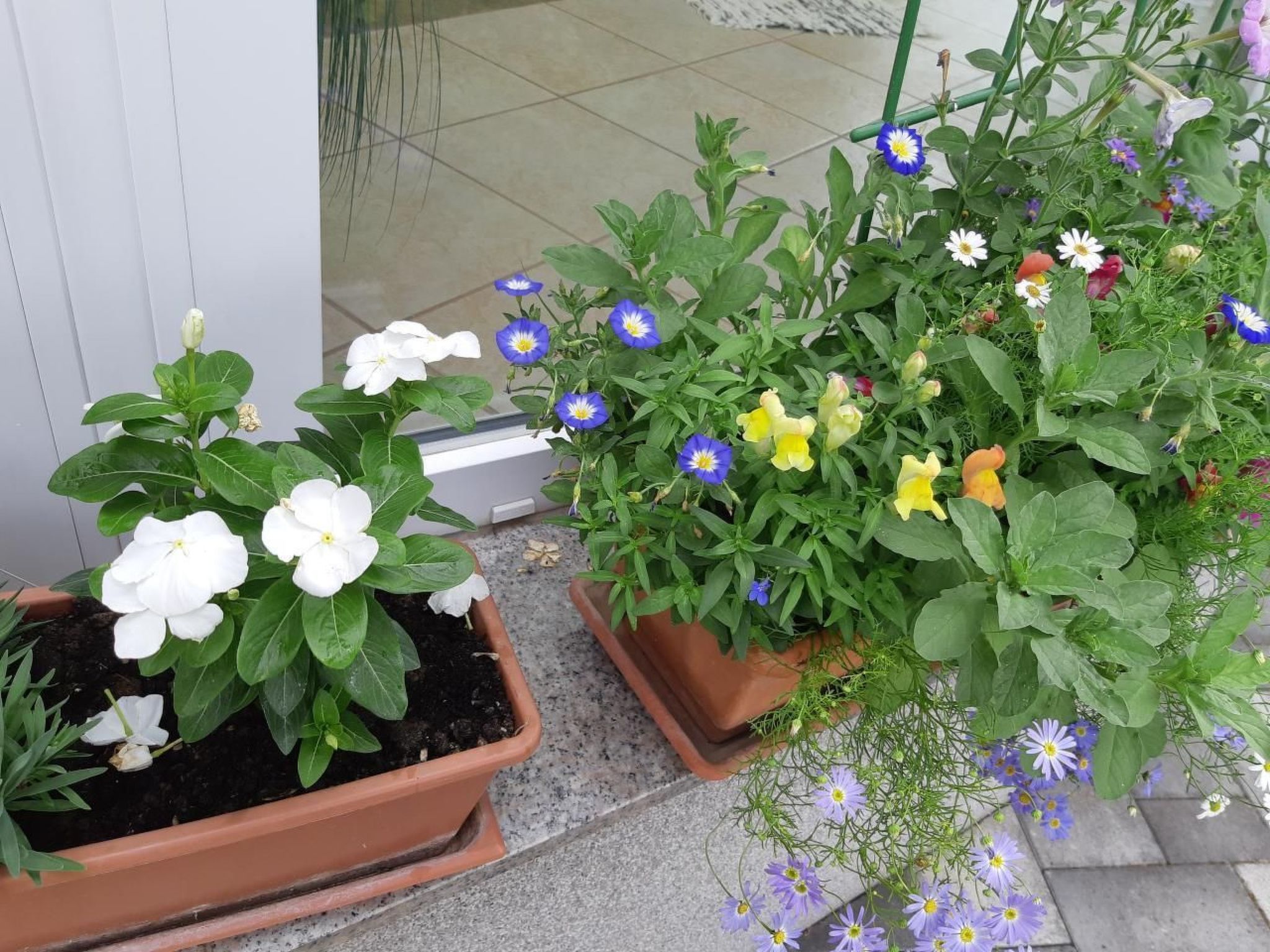 In Bük im Parterre mit Garten-Binnen