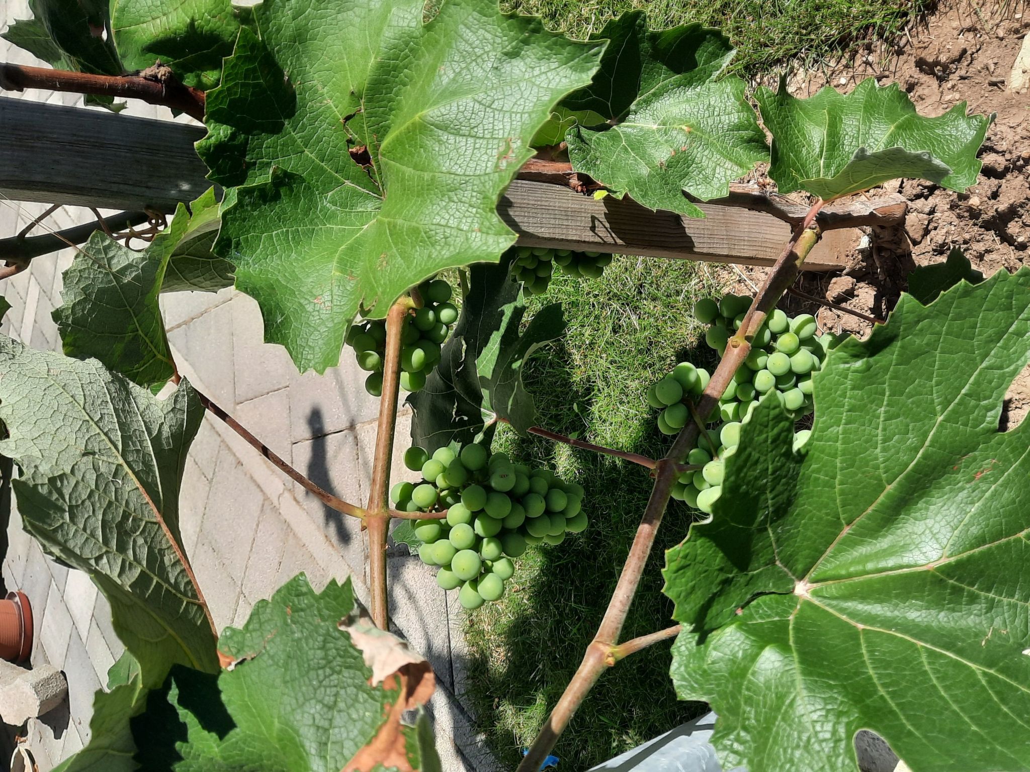 In Bük im Parterre mit Garten-Binnen