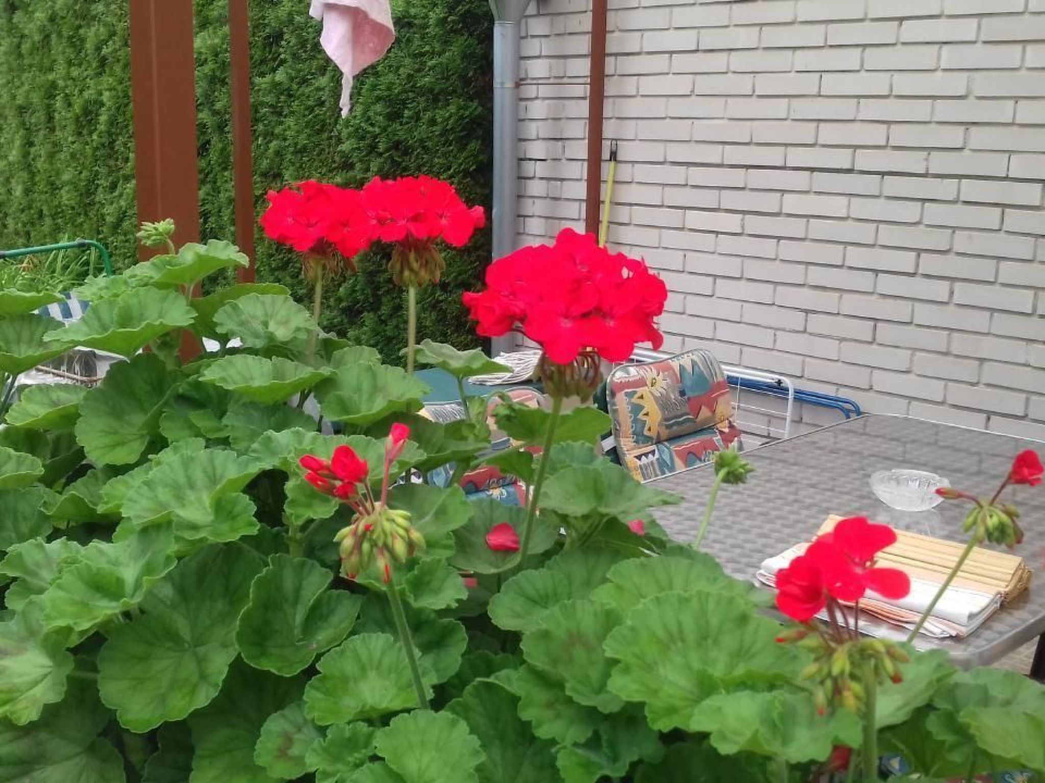 Klimatisiertes Ferienhaus in Bükfürdö mit Garten-Binnen