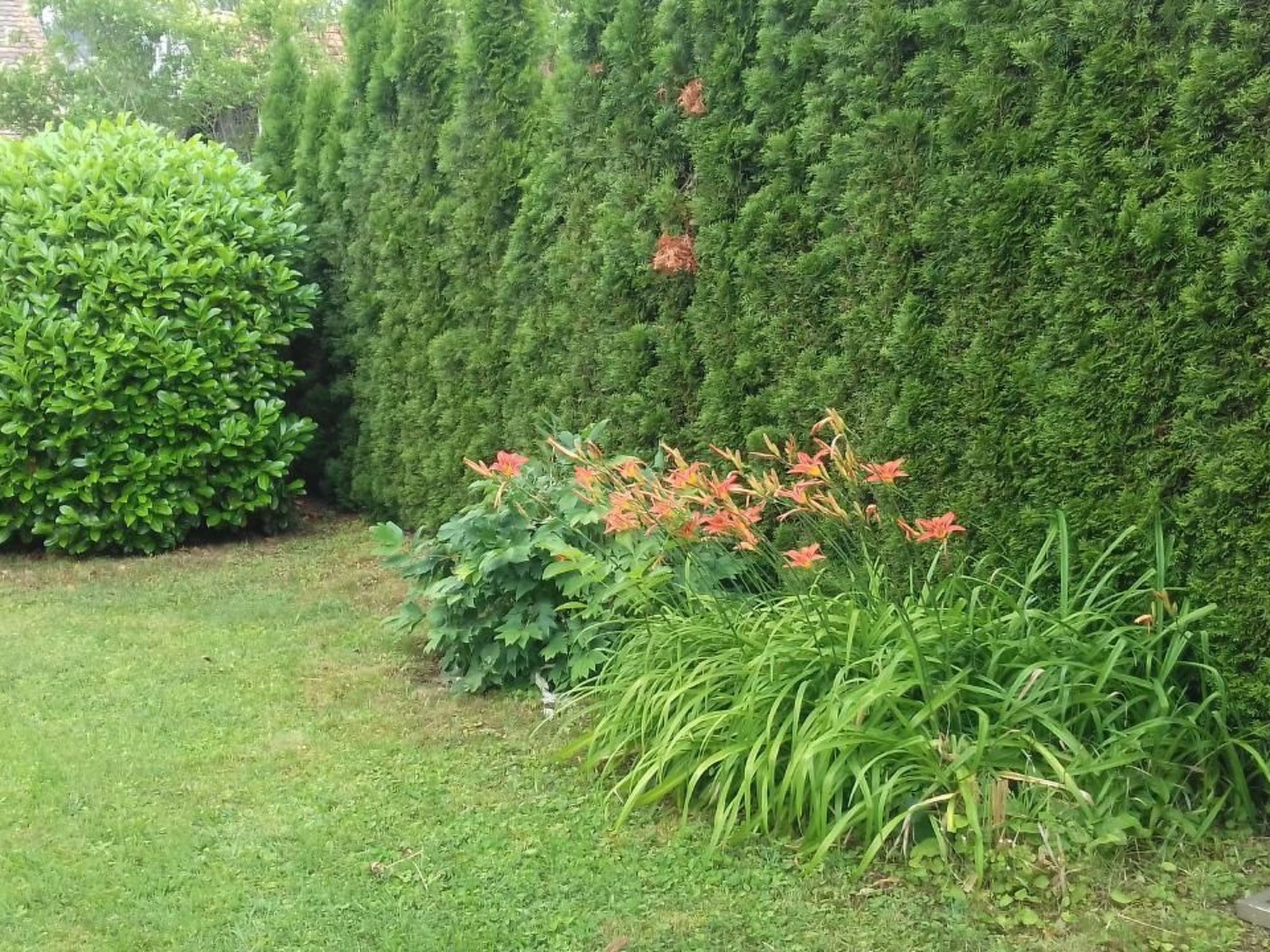 Klimatisiertes Ferienhaus in Bükfürdö mit Garten-Binnen