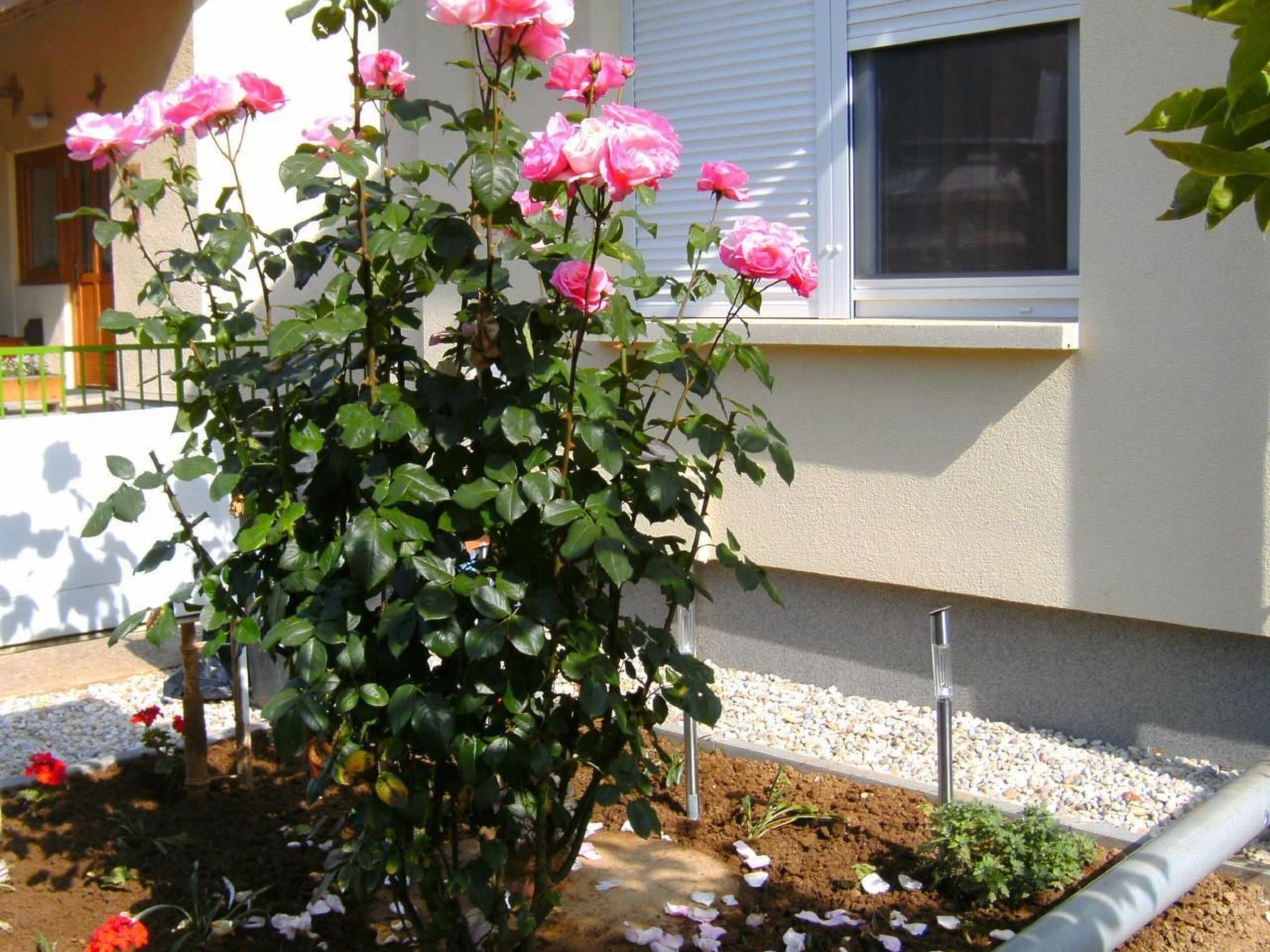 Klimatisiertes Ferienhaus in Bükfürdö mit Garten-Binnen
