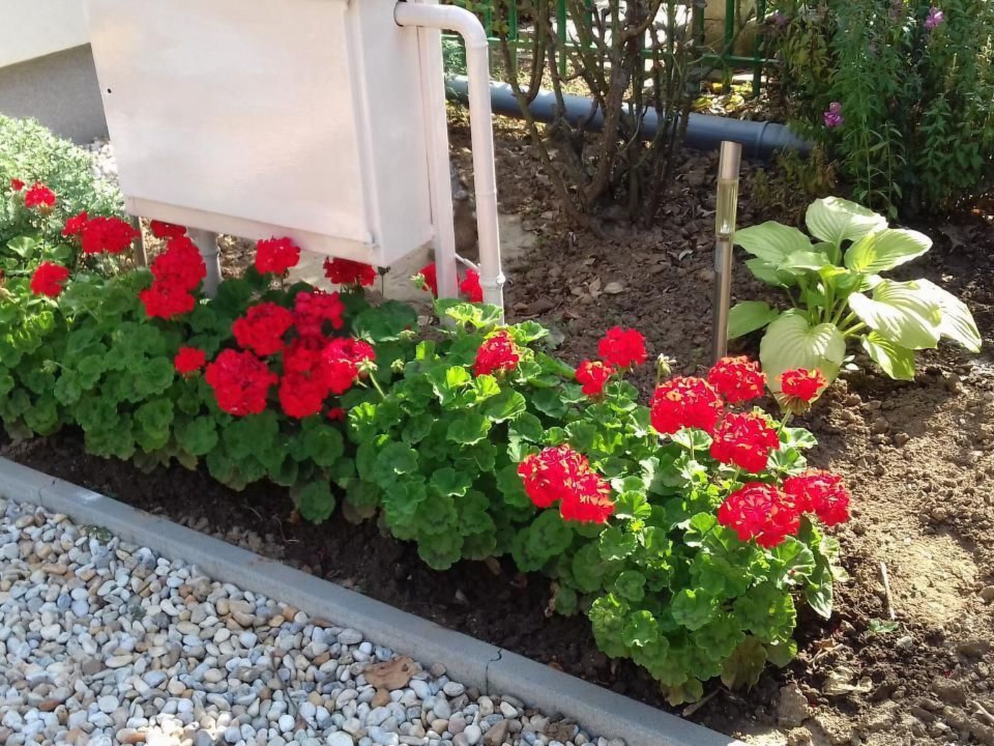 Klimatisiertes Ferienhaus in Bükfürdö mit Garten-Binnen