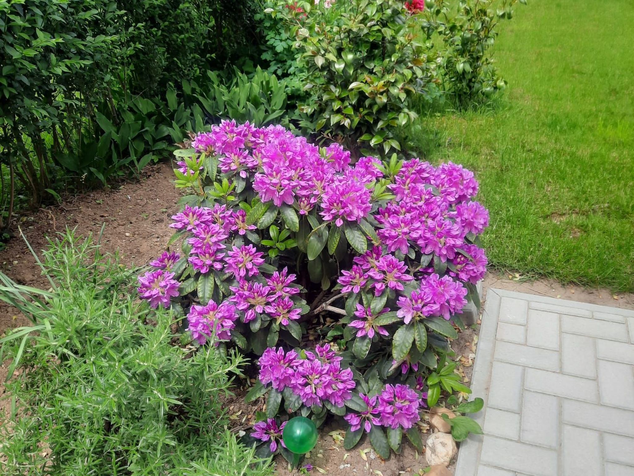 Klimatisiertes Ferienhaus in Bükfürdö mit Garten-Binnen