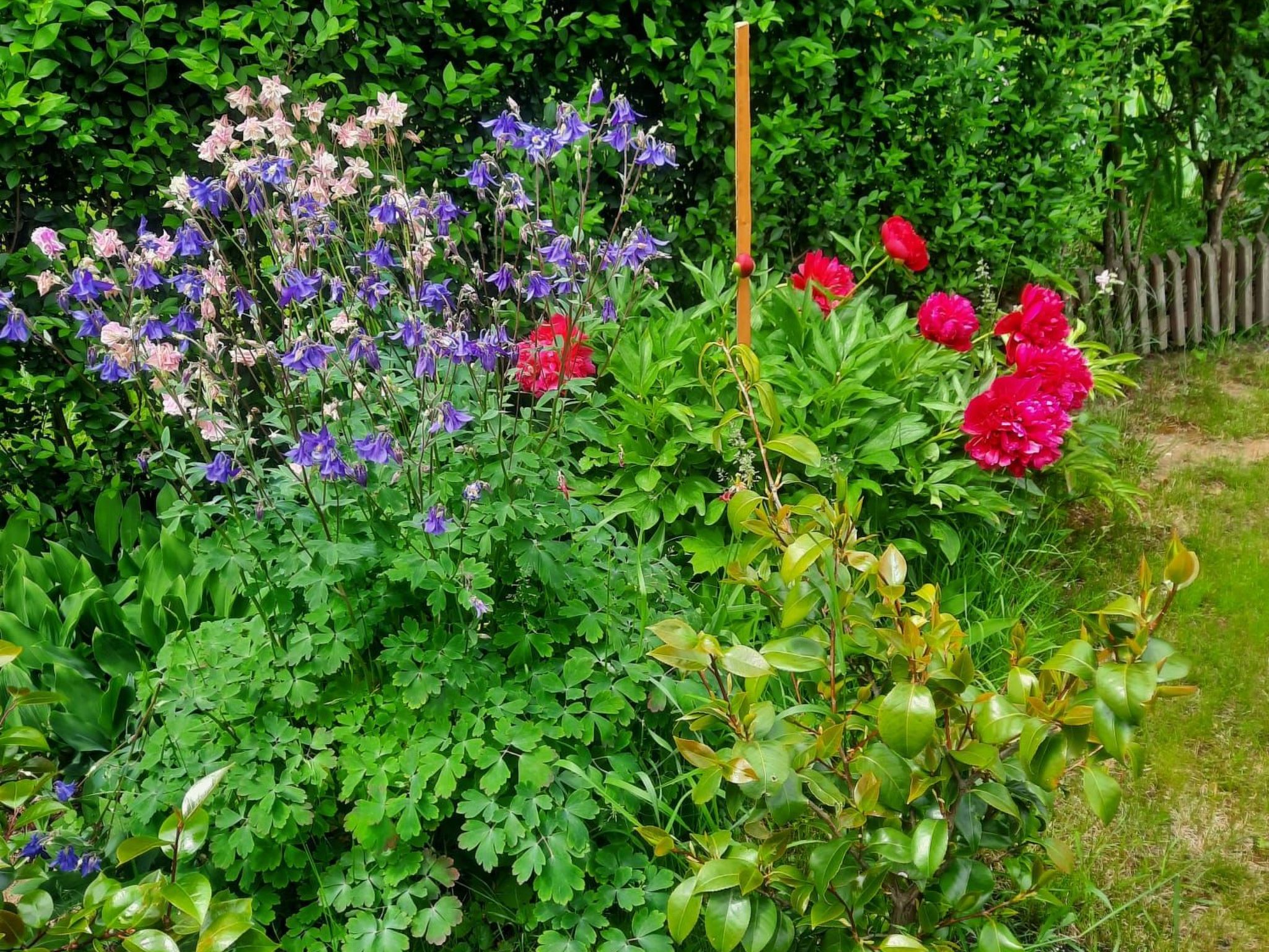 Klimatisiertes Ferienhaus in Bükfürdö mit Garten-Binnen