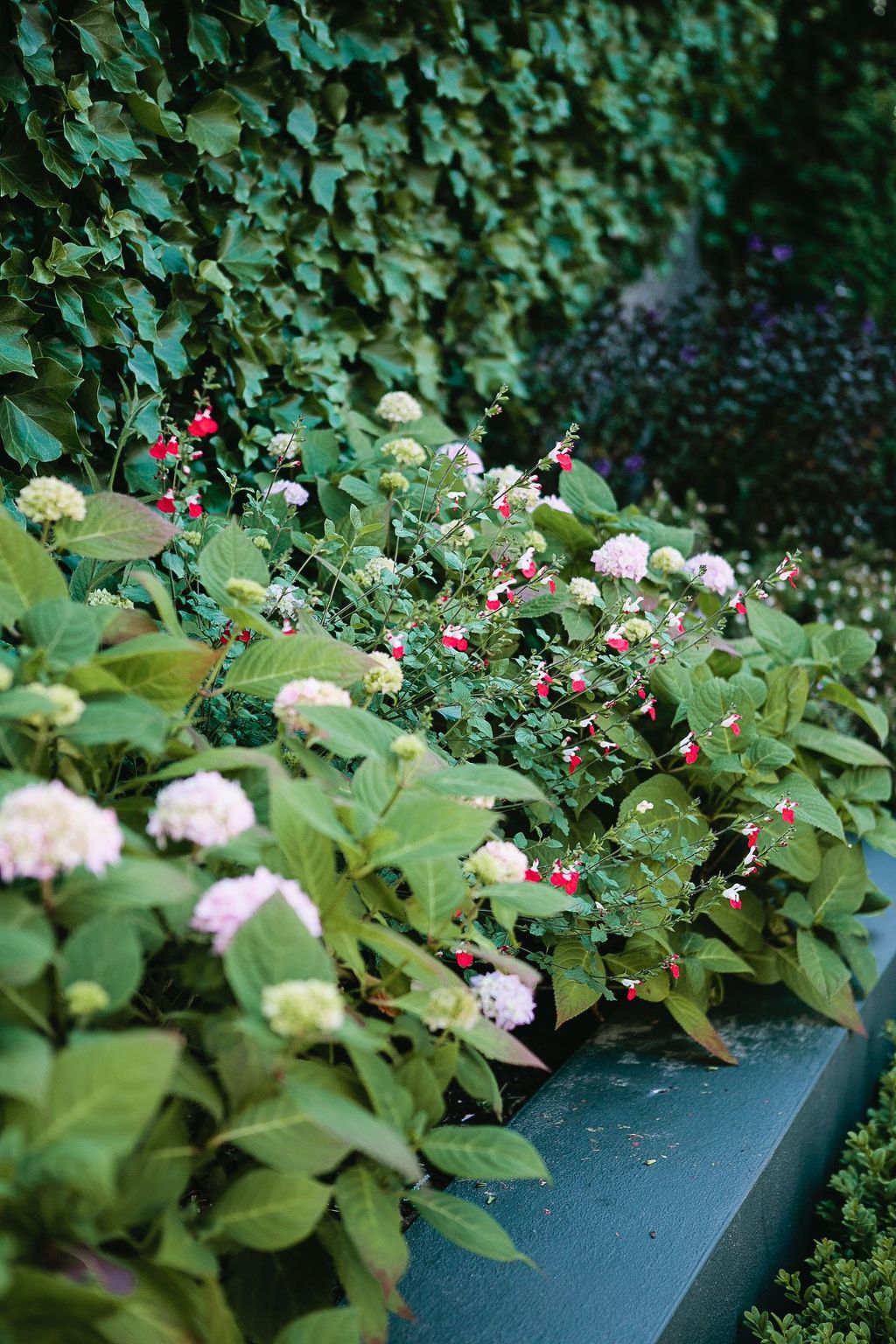 Ferienvilla "Glasnevin"-Image-tags.info