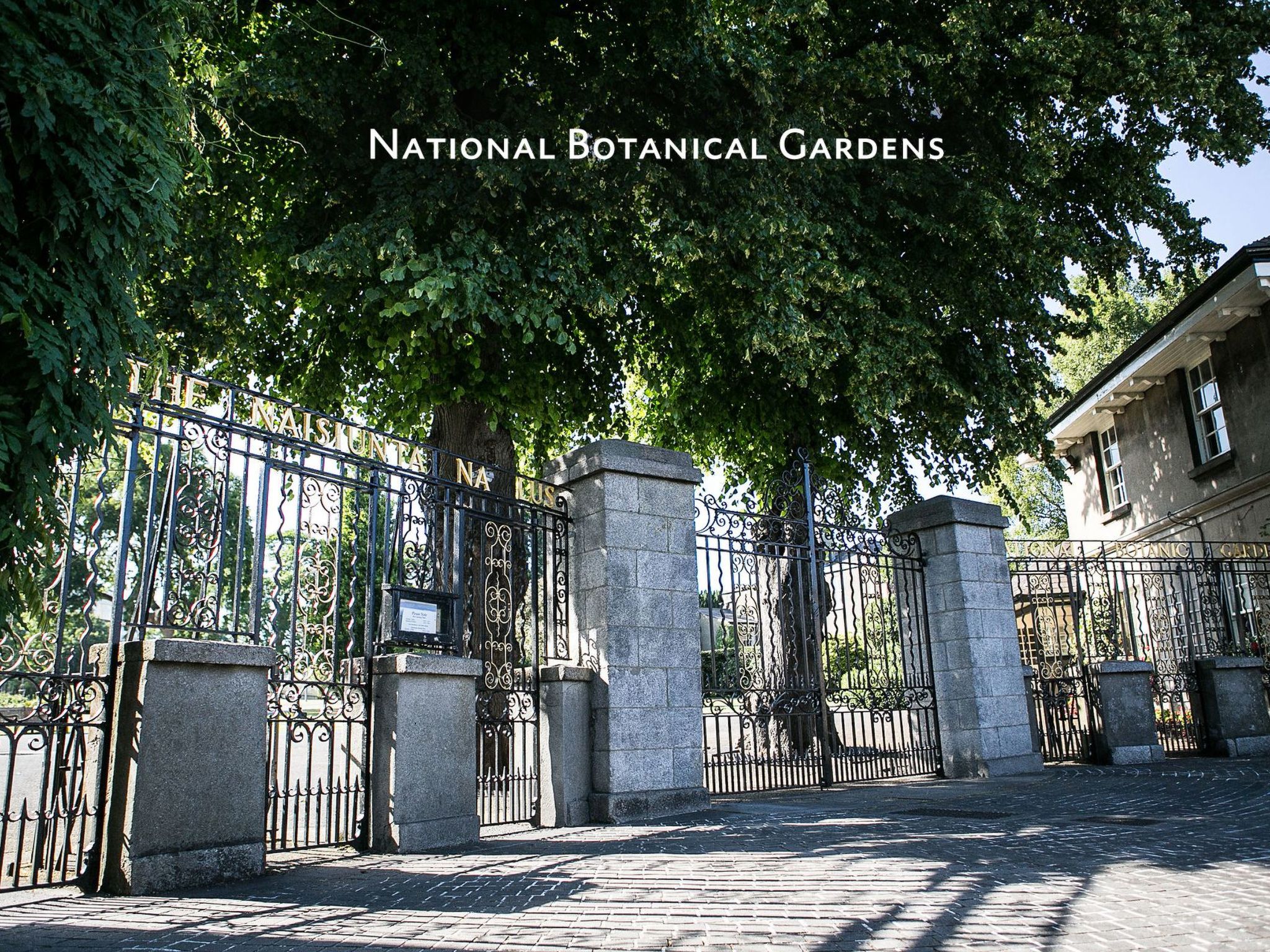 Ferienvilla "Glasnevin"-Image-tags.info