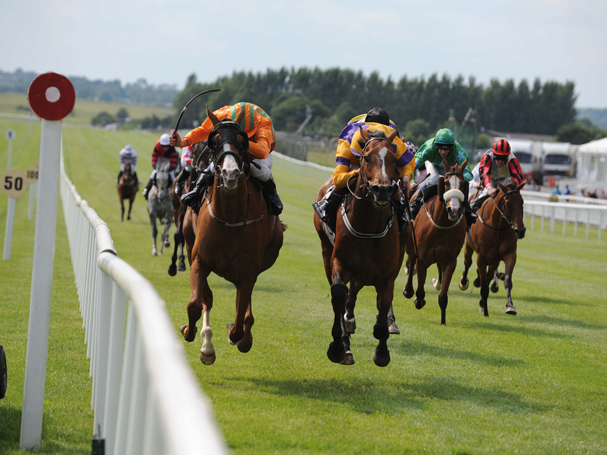 Eagle View Holiday Home-Buiten