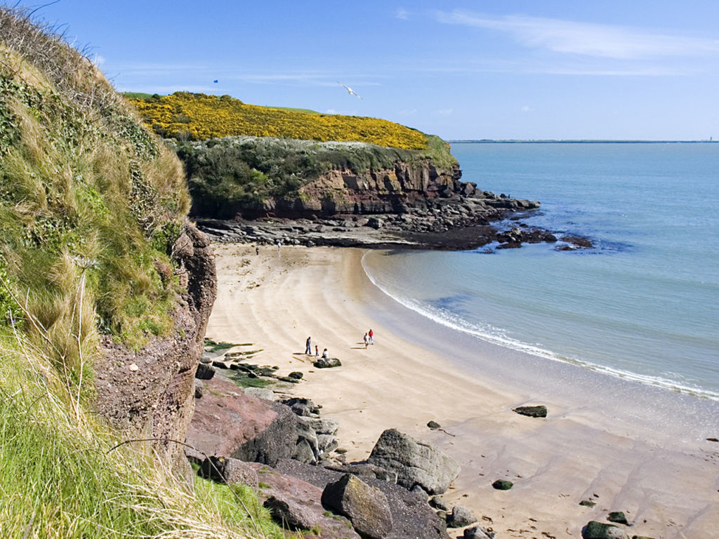 Forest Haven HH No 6