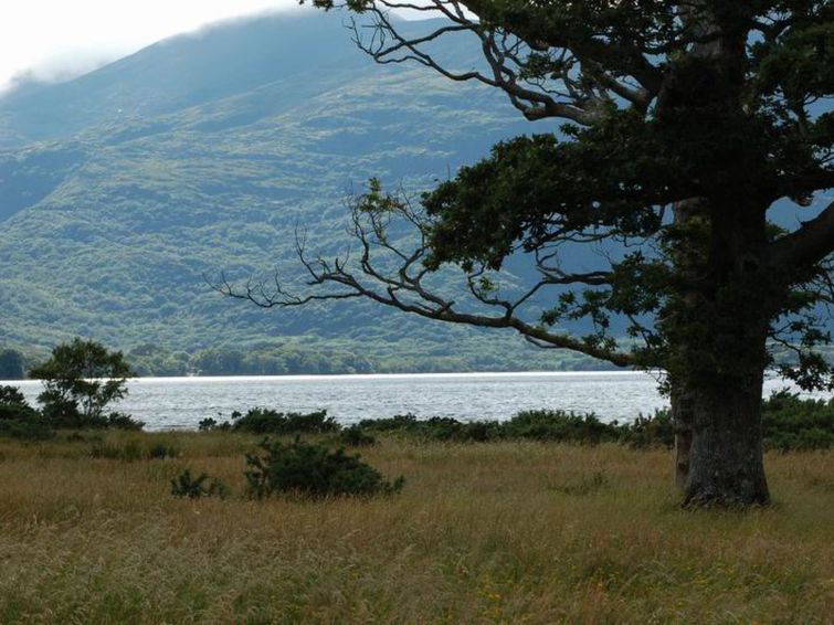Holiday Rental Accommodation