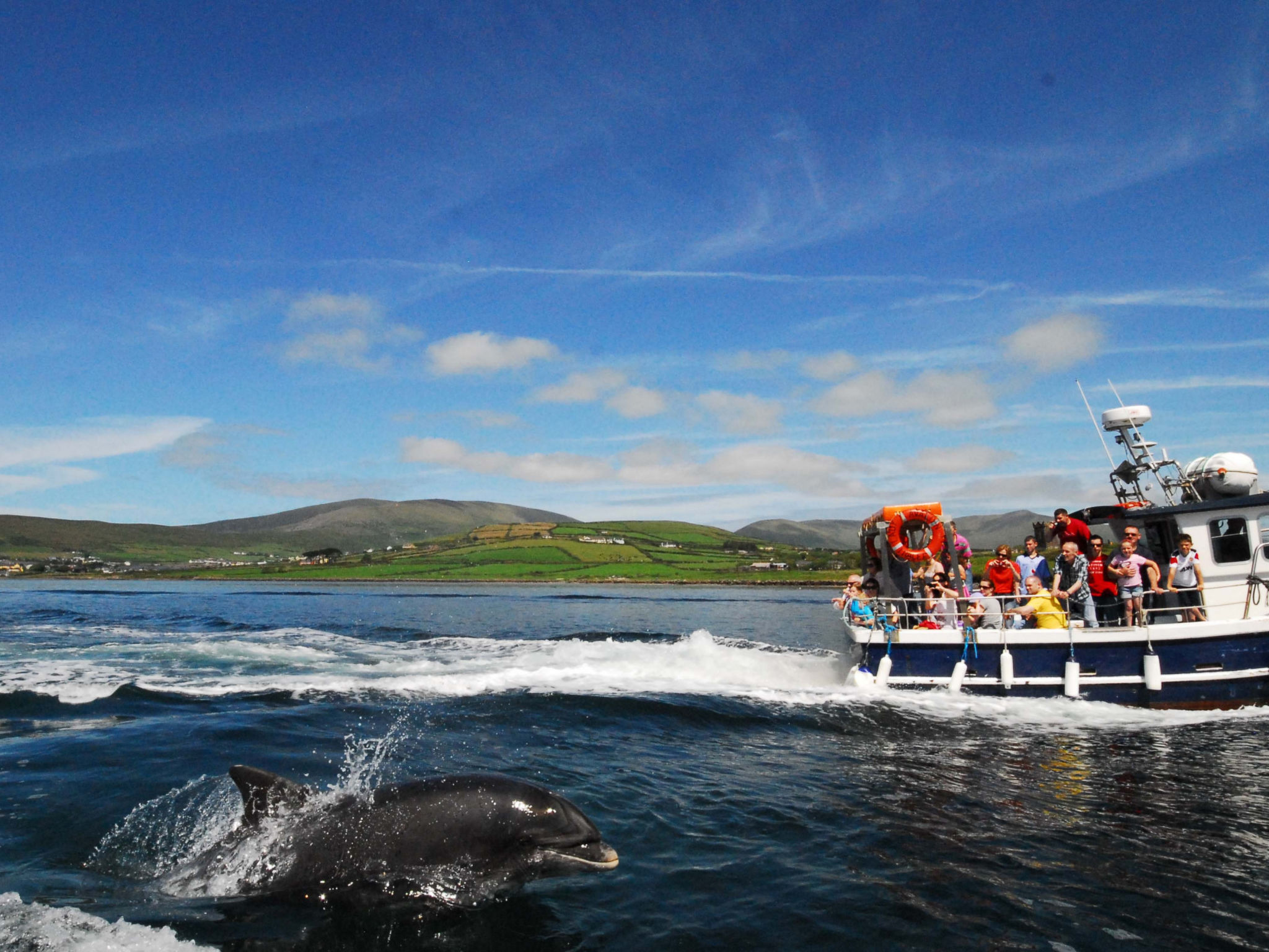 Dingle CY No 5(TR4)  (2 Bed - Sleeps 4)-Outside