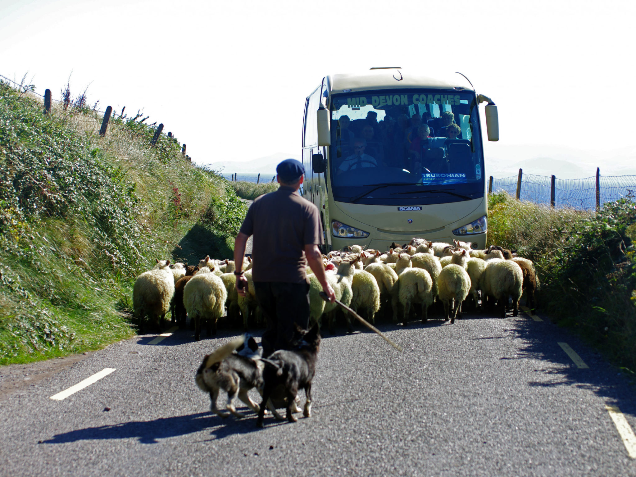 Dingle Bay View (TR2)-Outside