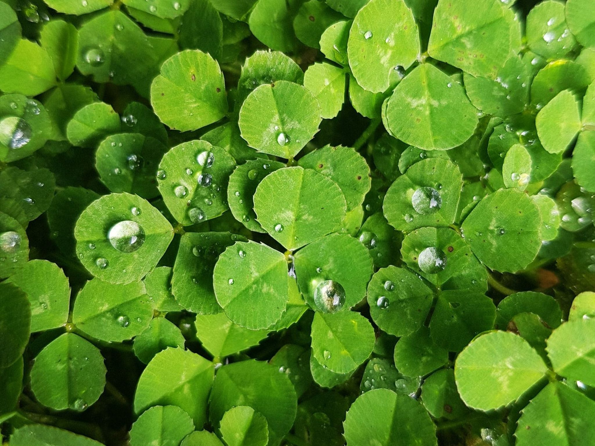 Minie's Cottage Wild Atlantic Way-Image-tags.info