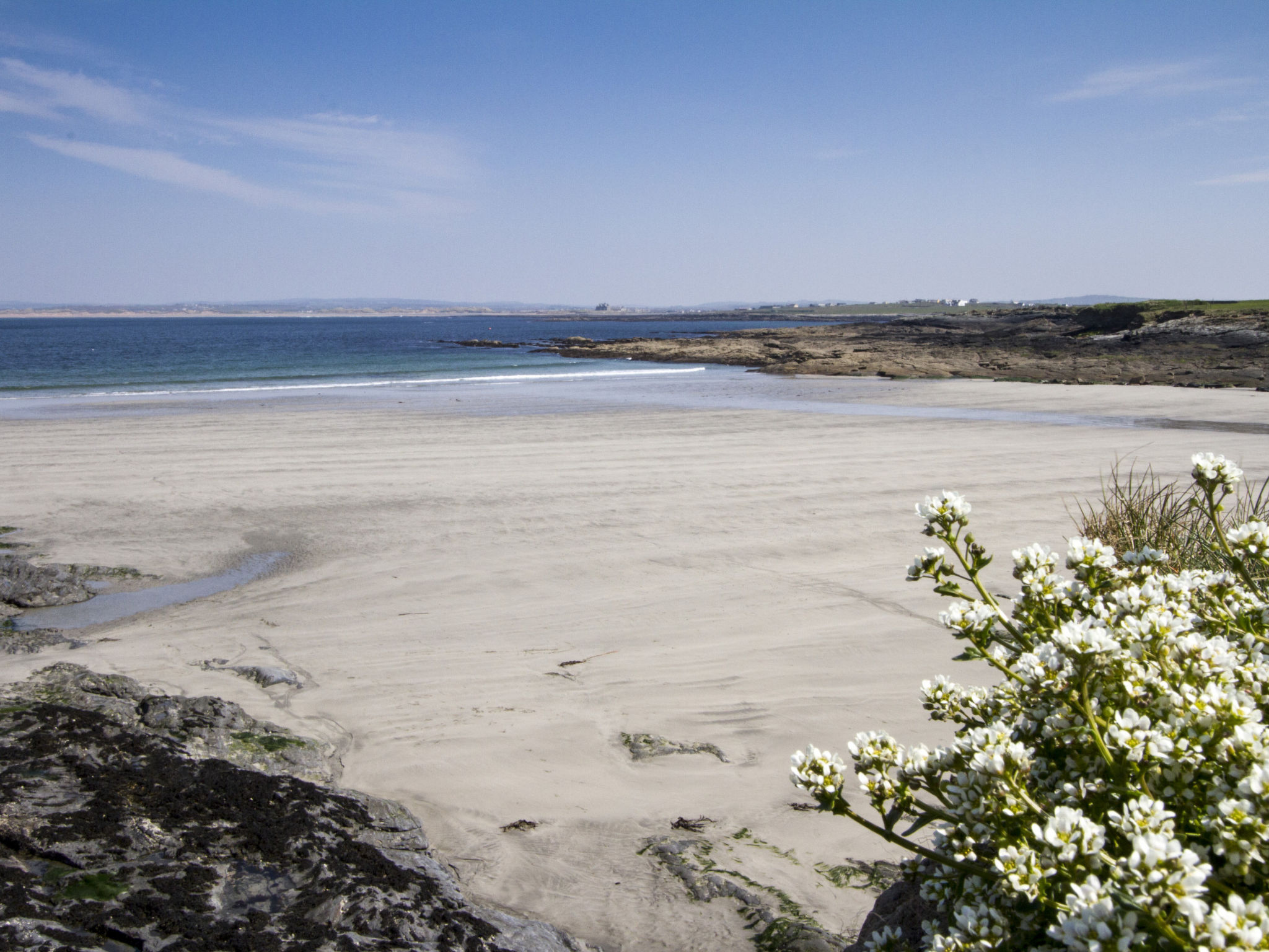 Matthews Cottage Doonbeg-Outside