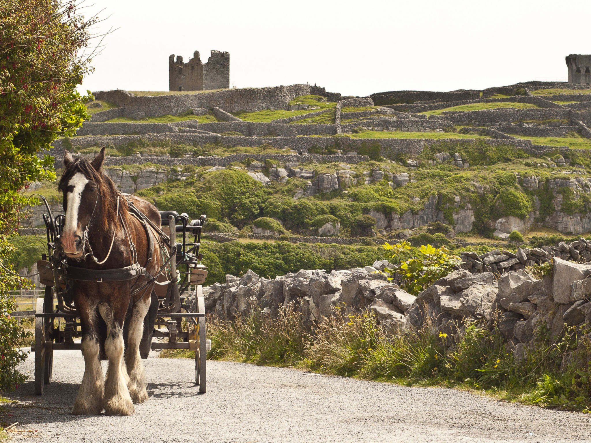 Galway Bay (TR4)Lodge-Buiten
