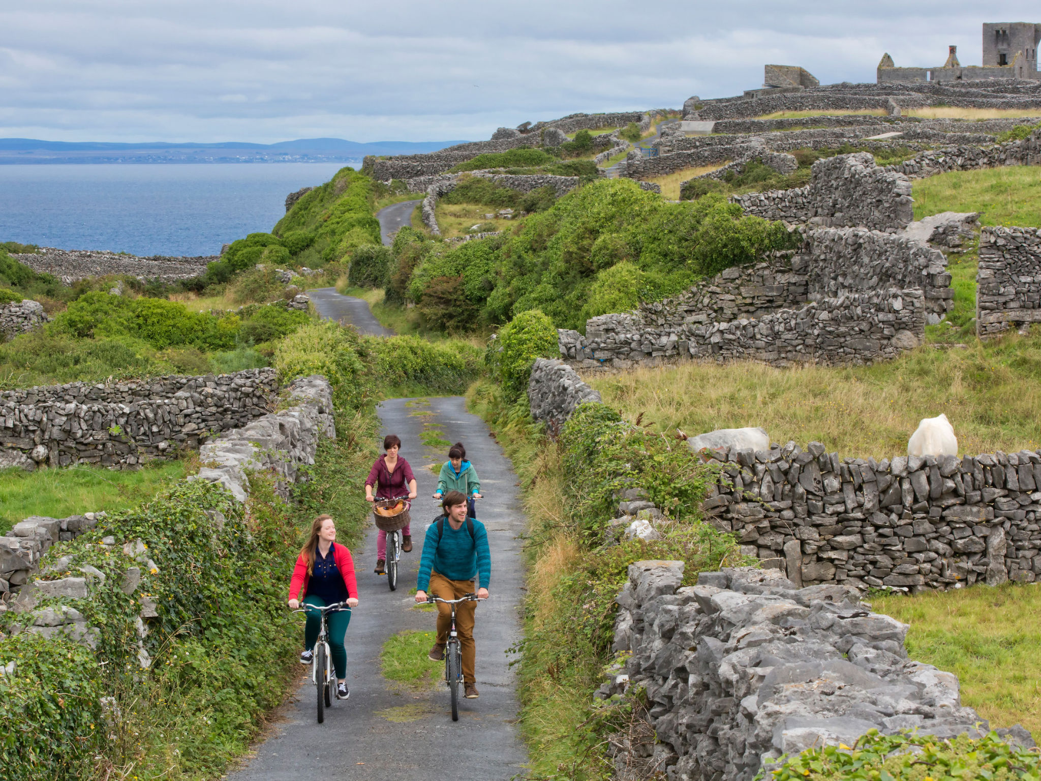 Galway Bay (TR4)Lodge-Binnen