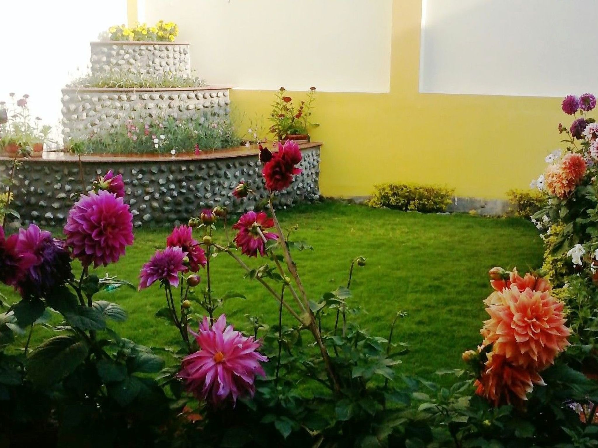 Welcome to your perfect home away from home, our One BHK Studio Apartment SA1. This oasis of comfort is available for short and long-term stays, from a single day up to an entire year, offering a flex..