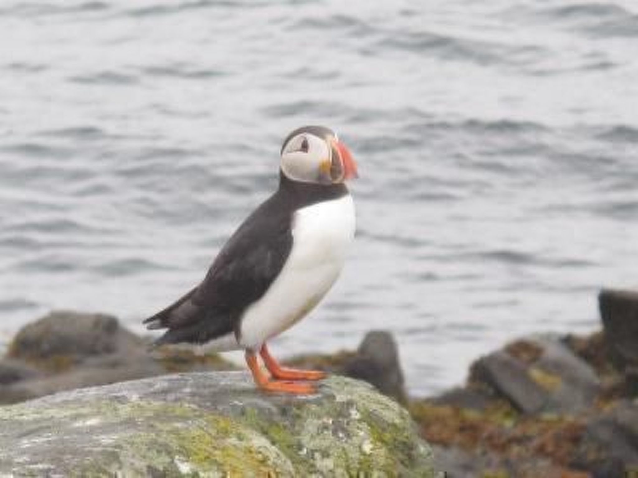 NO 1 in Island West. Best View Cottage.