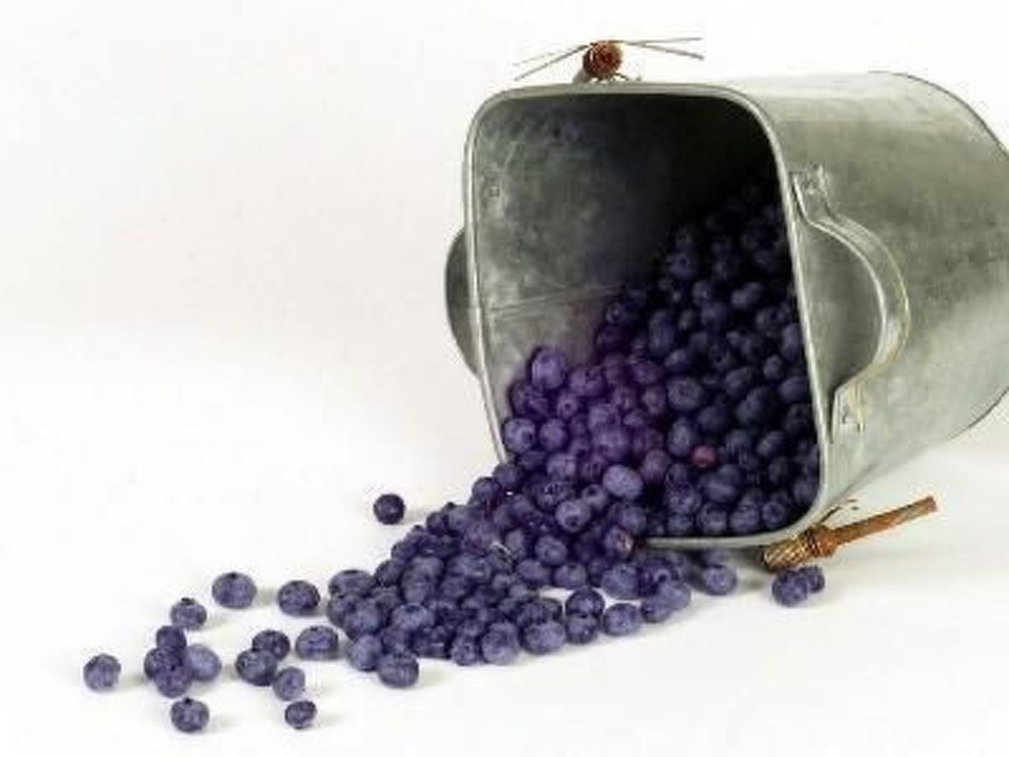 NO 1 in Island West. Best View Cottage.