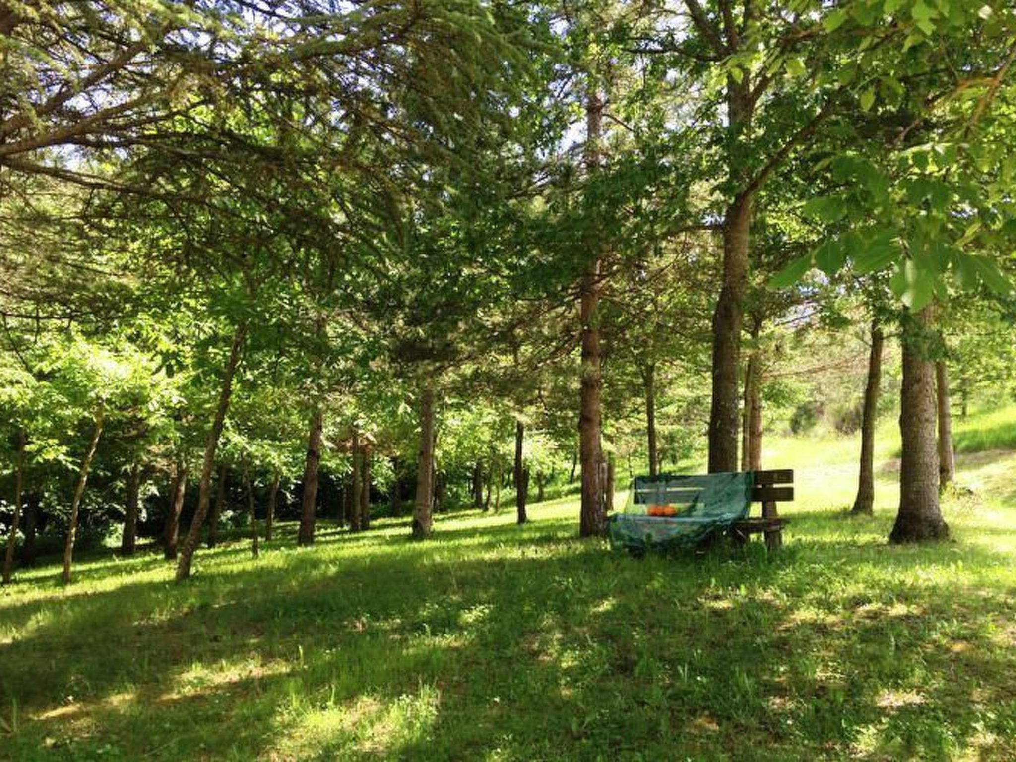 Wohnung in Apecchio mit Garten-Binnen