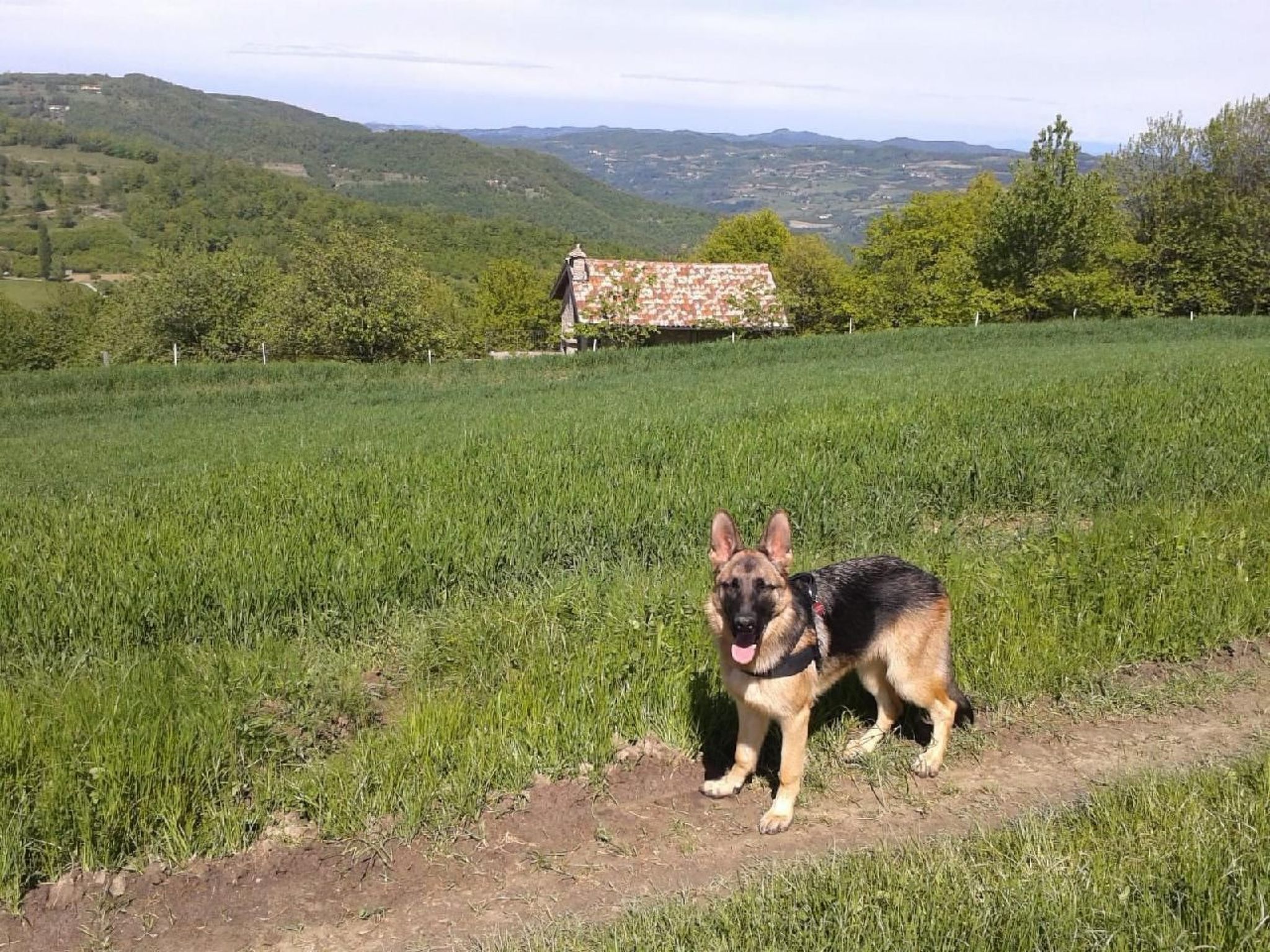 Piccola casa romantica-Binnen