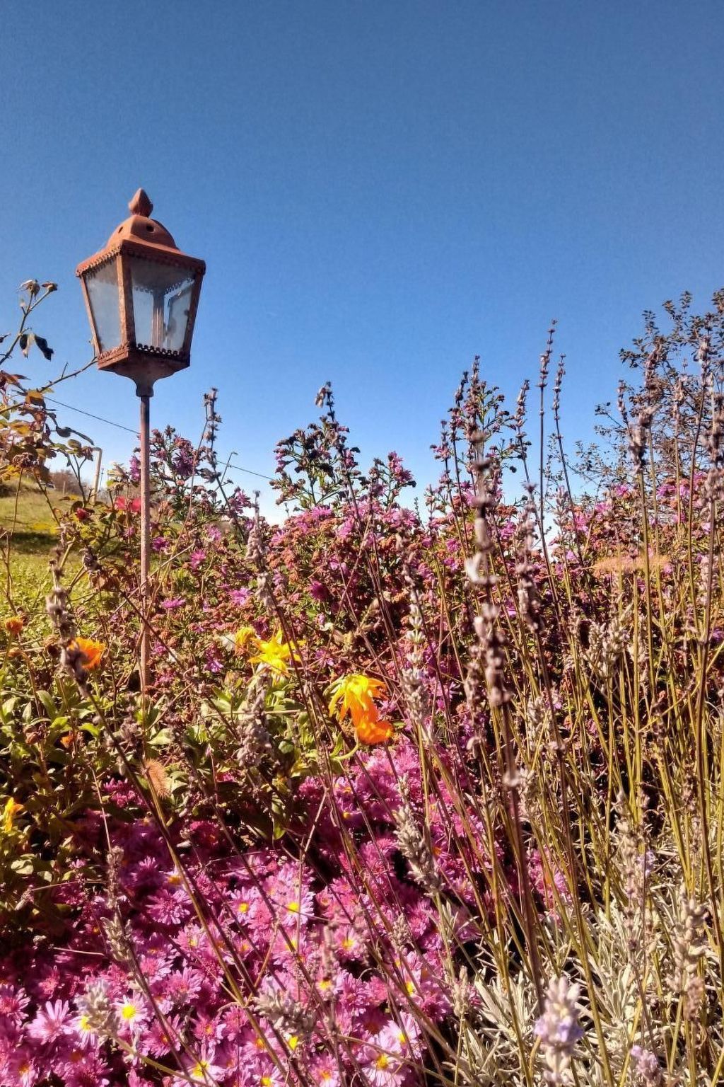 Piccola casa romantica-Binnen