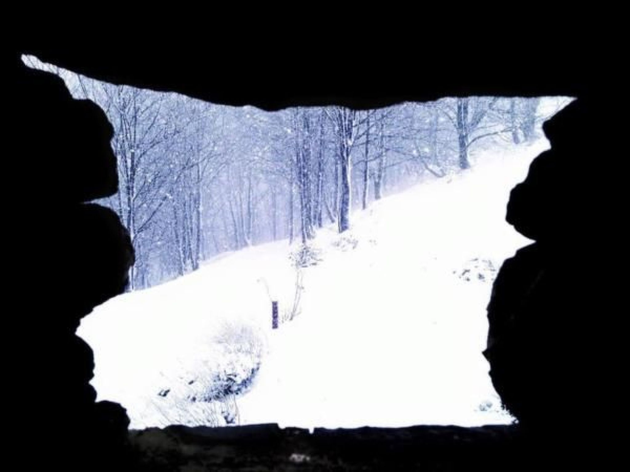 Piccola casa romantica-Binnen