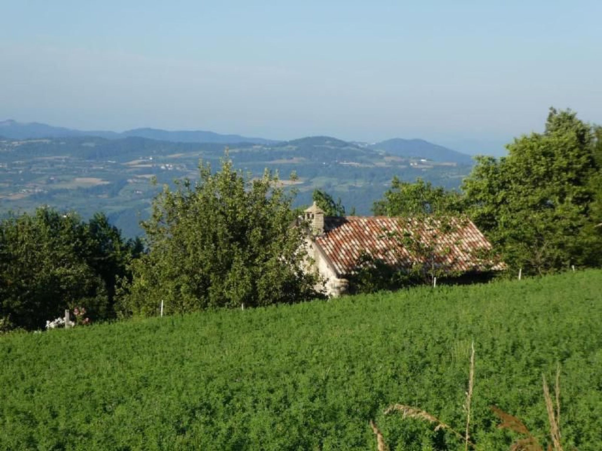 Piccola casa romantica-Binnen