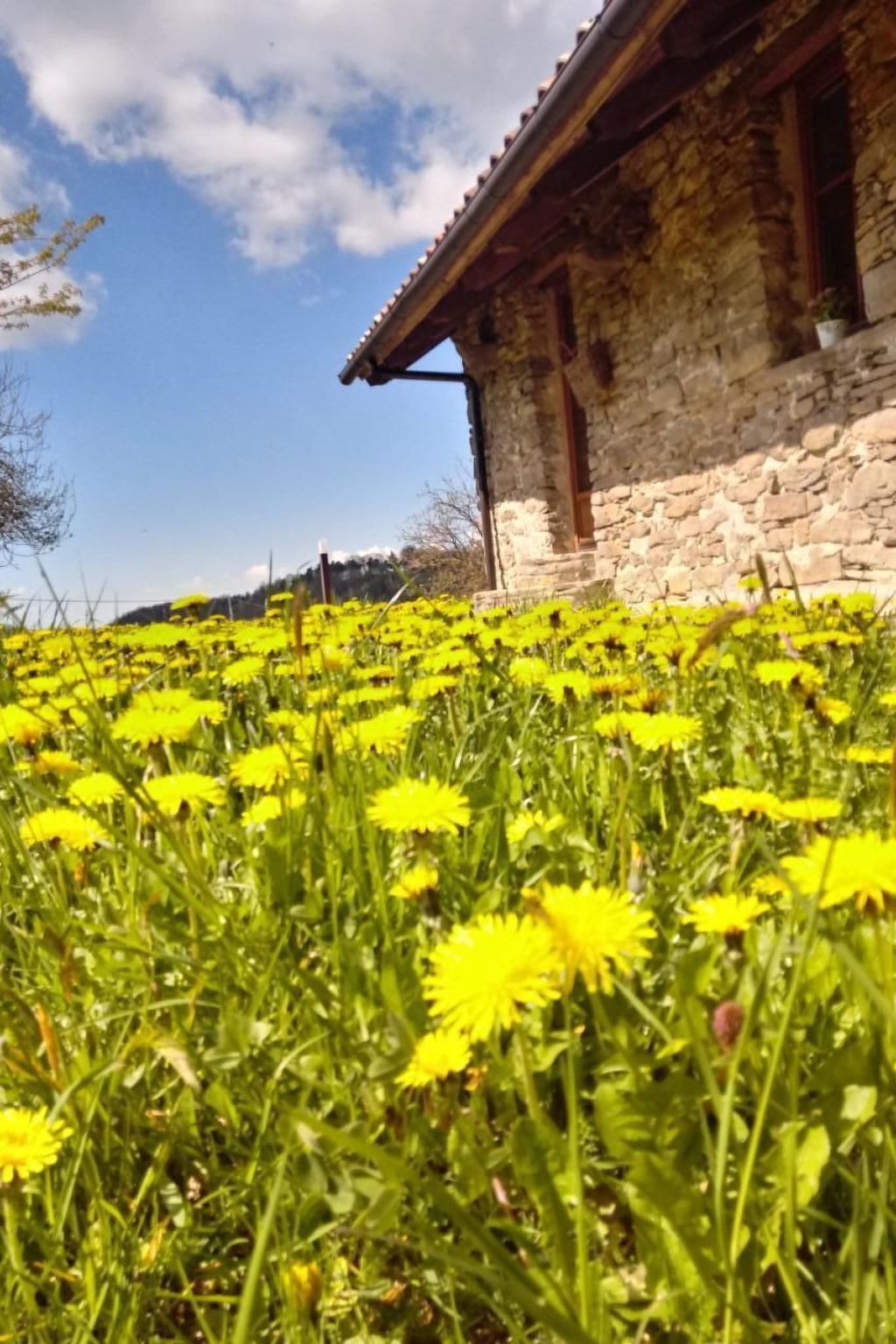 Piccola casa romantica-Binnen