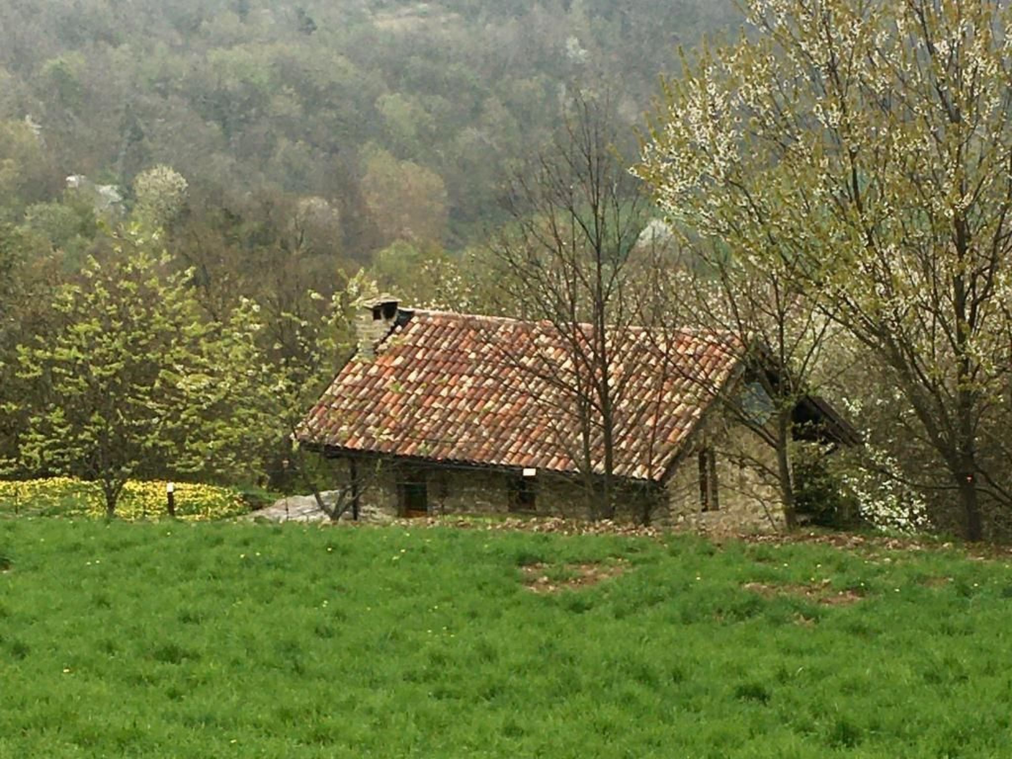 Piccola casa romantica-Binnen