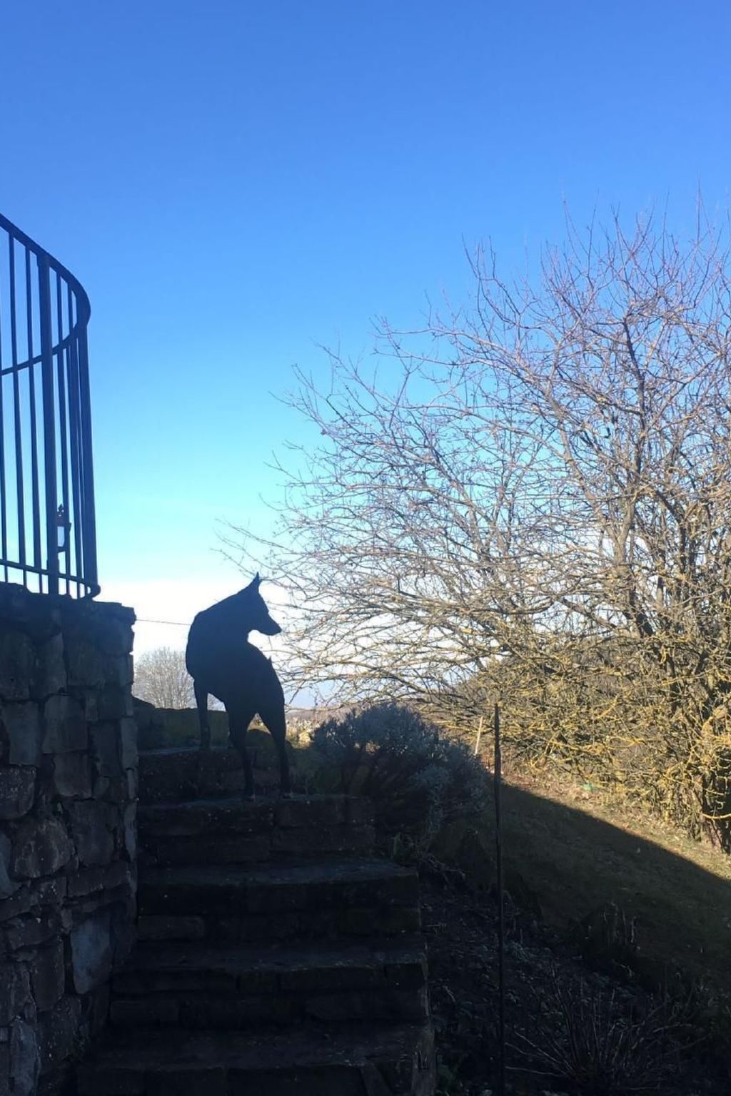 Piccola casa romantica-Binnen