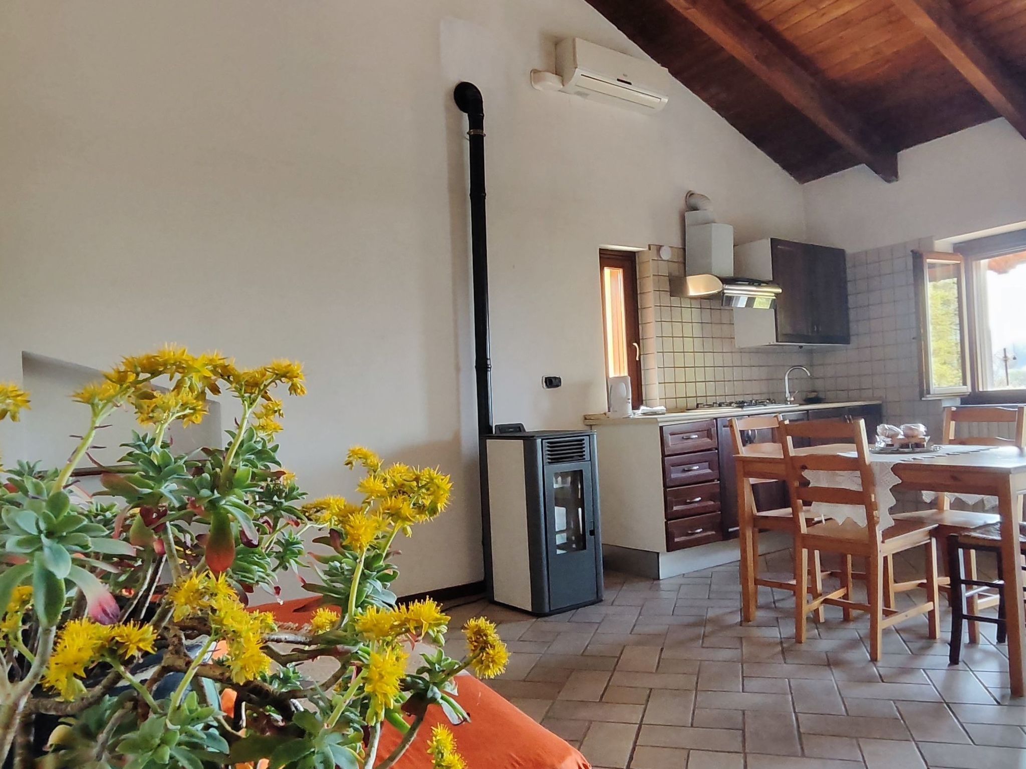 Vergissmeinnicht-Binnen