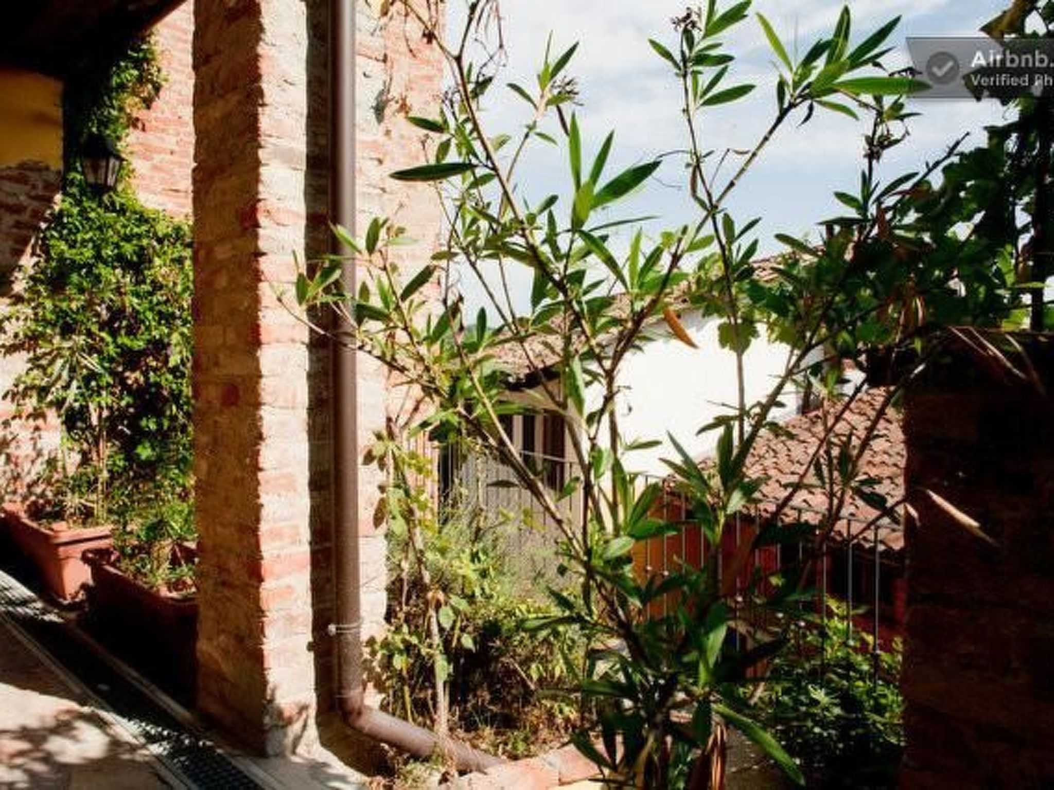 Vergissmeinnicht-Binnen