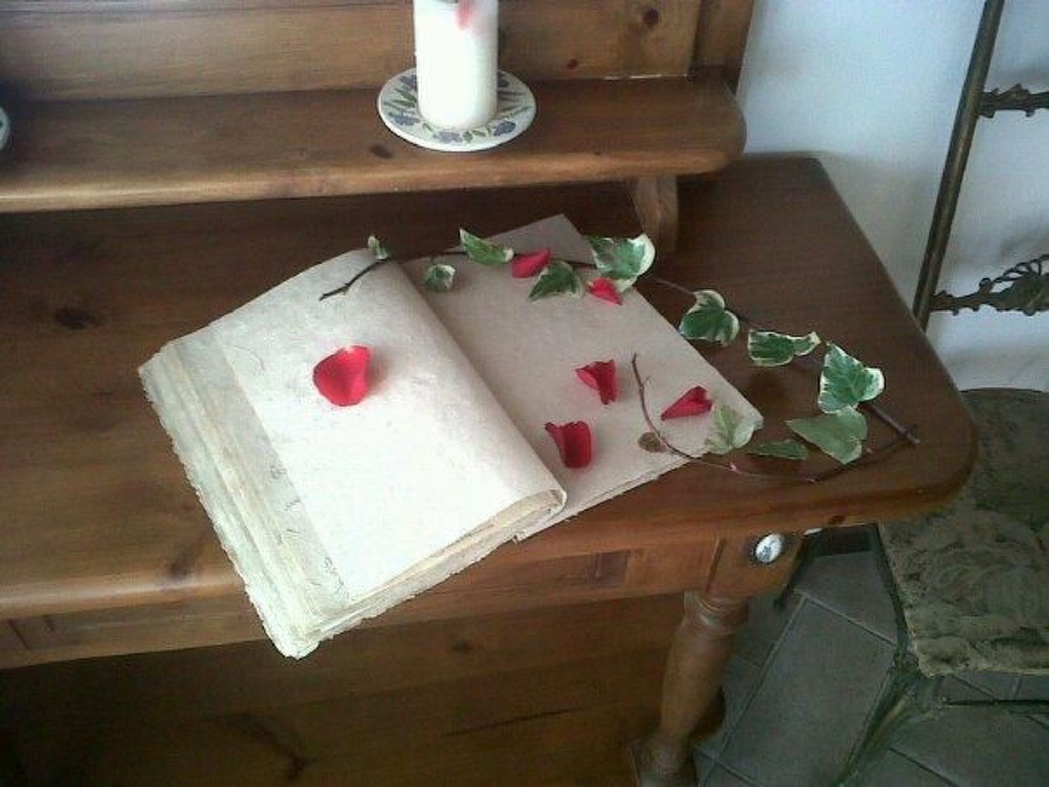 Vergissmeinnicht-Binnen