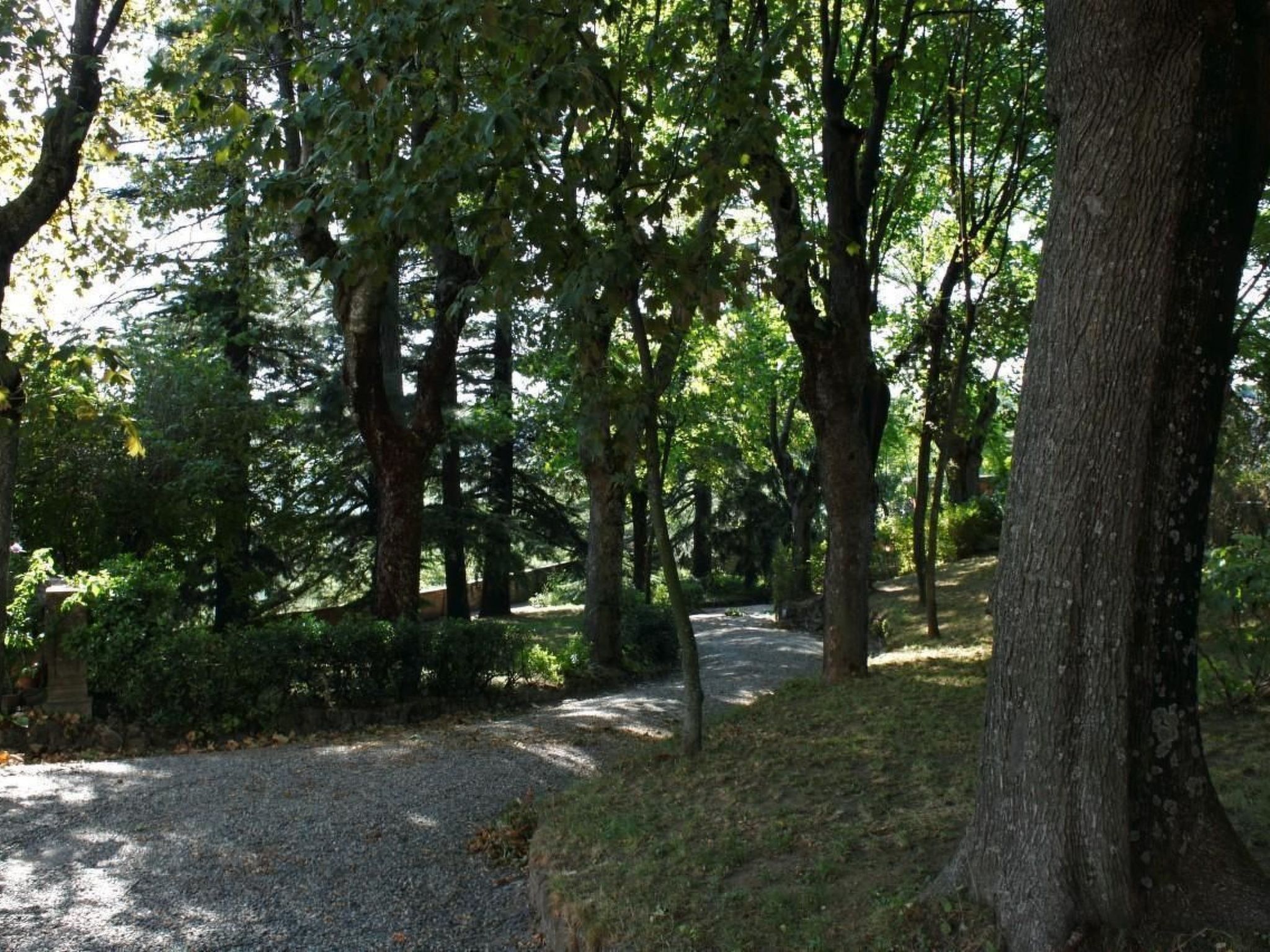 Mit Gemeinschaftspool-Image-tags.info