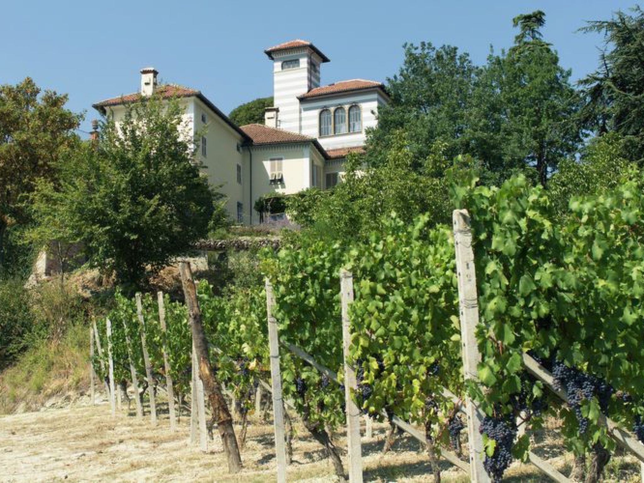 Wohnung mit Schwimmbad