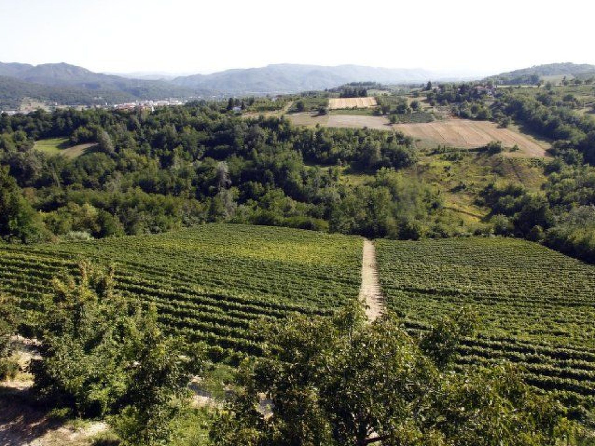 Wohnung mit Schwimmbad-Image-tags.info