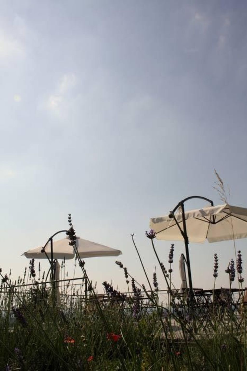 Superior' Anwesen mit Gemeinschaftspool-Image-tags.info