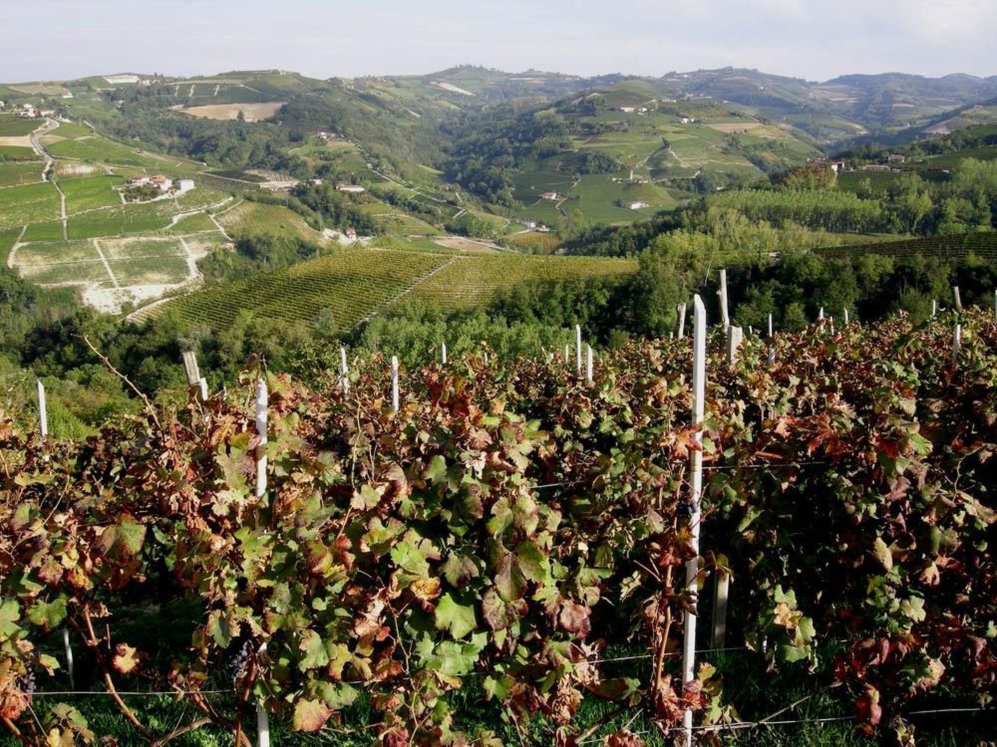 Anwesen mit Gemeinschaftspool-Image-tags.info