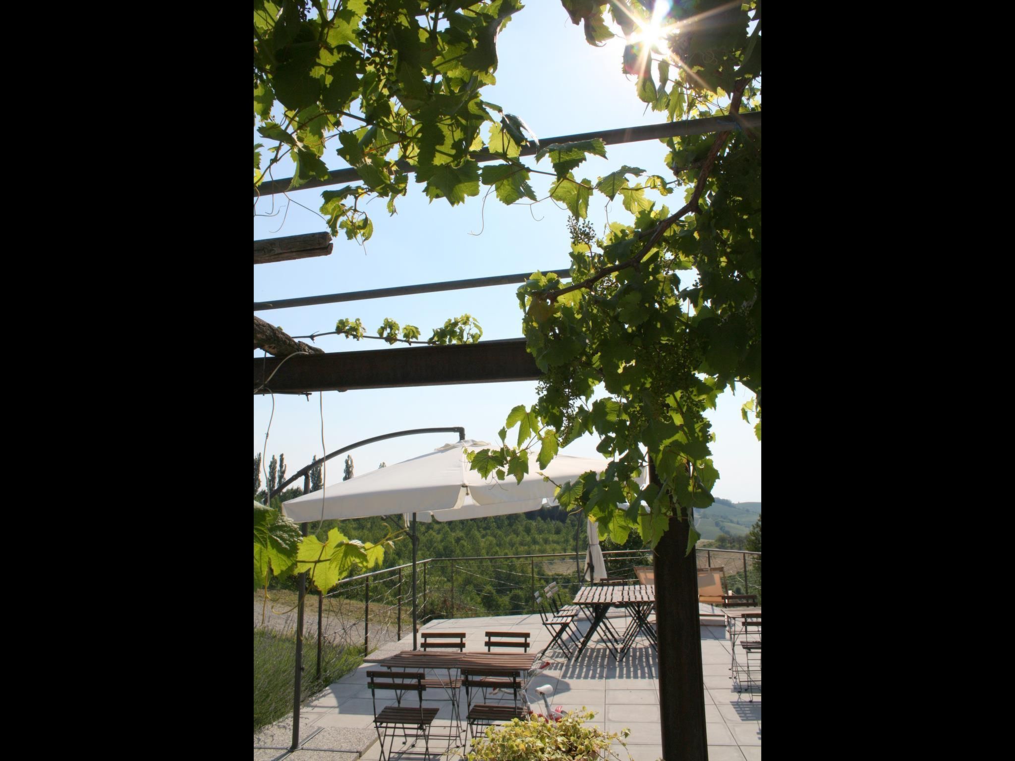 Miniloft-Siedlung mit Schwimmbad-Image-tags.info