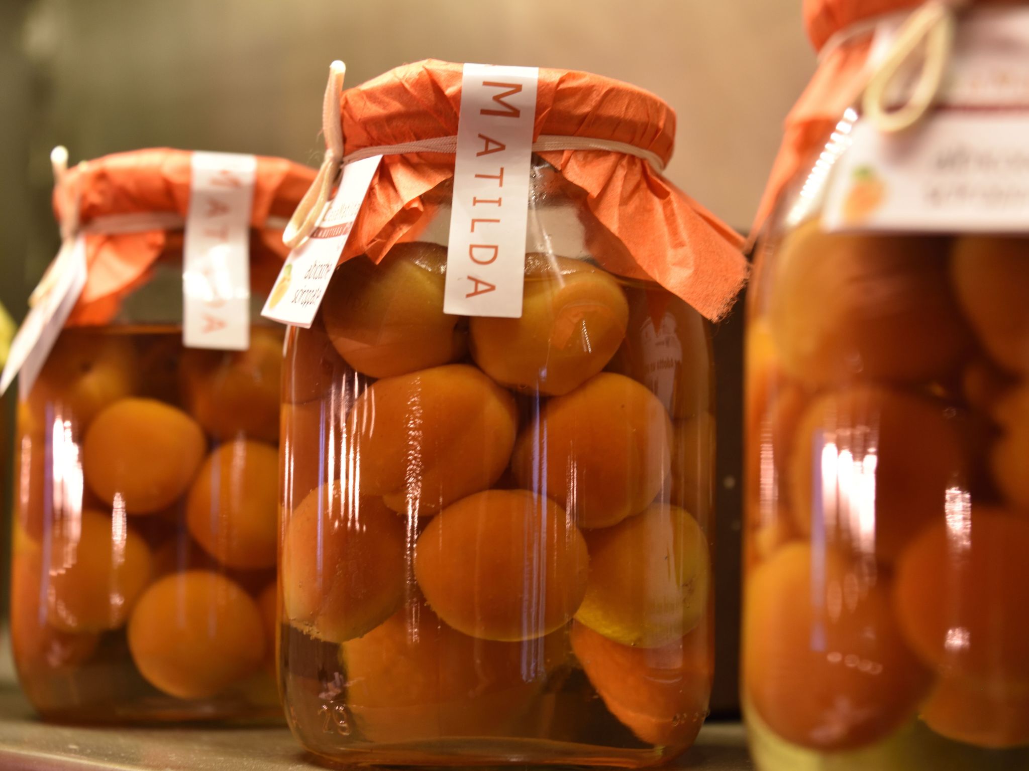 Miniloft-Siedlung mit Schwimmbad-Image-tags.info