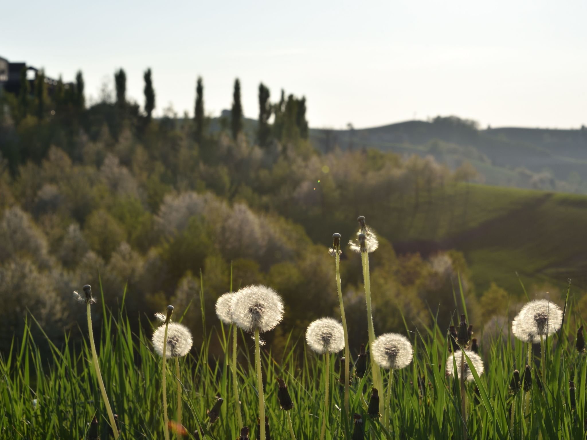 Miniloft-Siedlung mit Schwimmbad-Image-tags.info