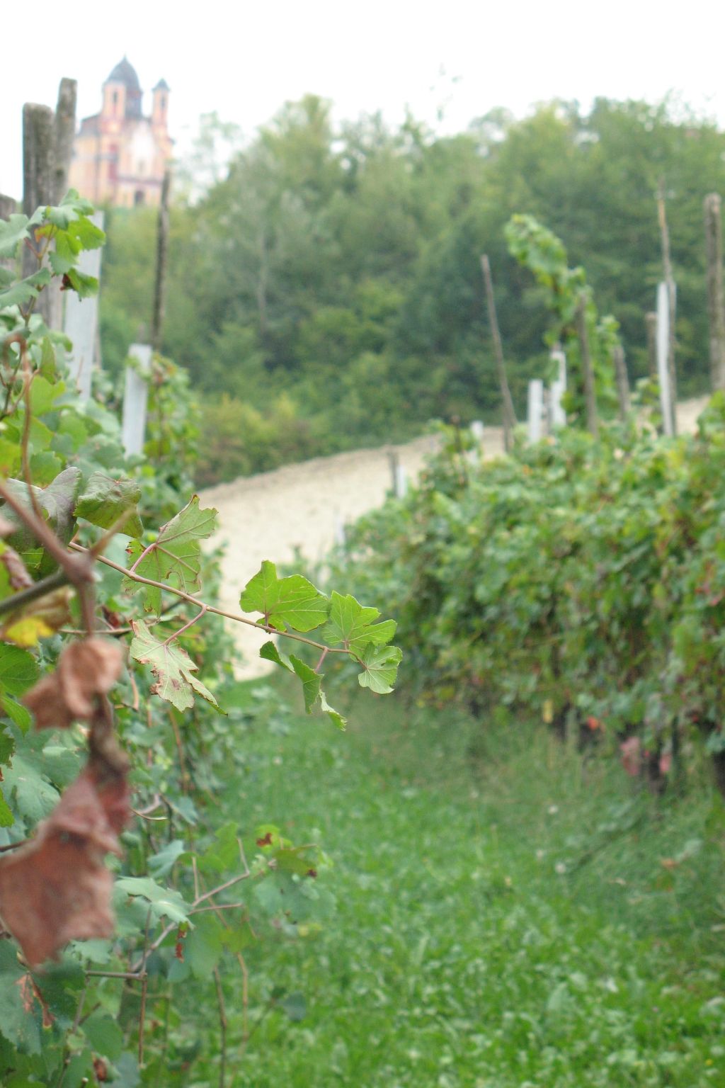 Miniloft-Siedlung mit Schwimmbad-Image-tags.info