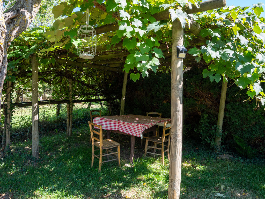Bild 19