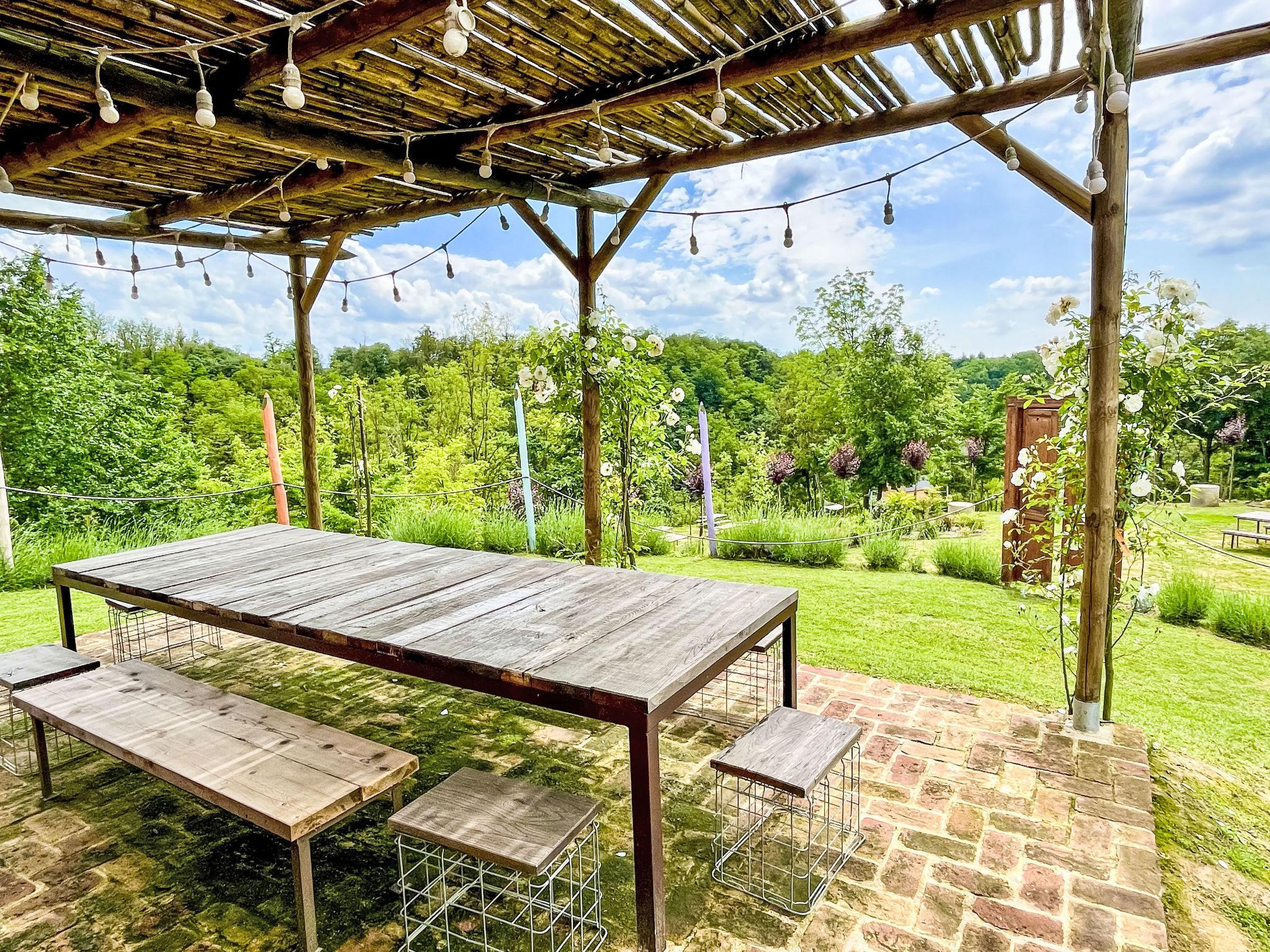 Ferme Tenuta Margherita – Terrasse, photo 41 sur 50